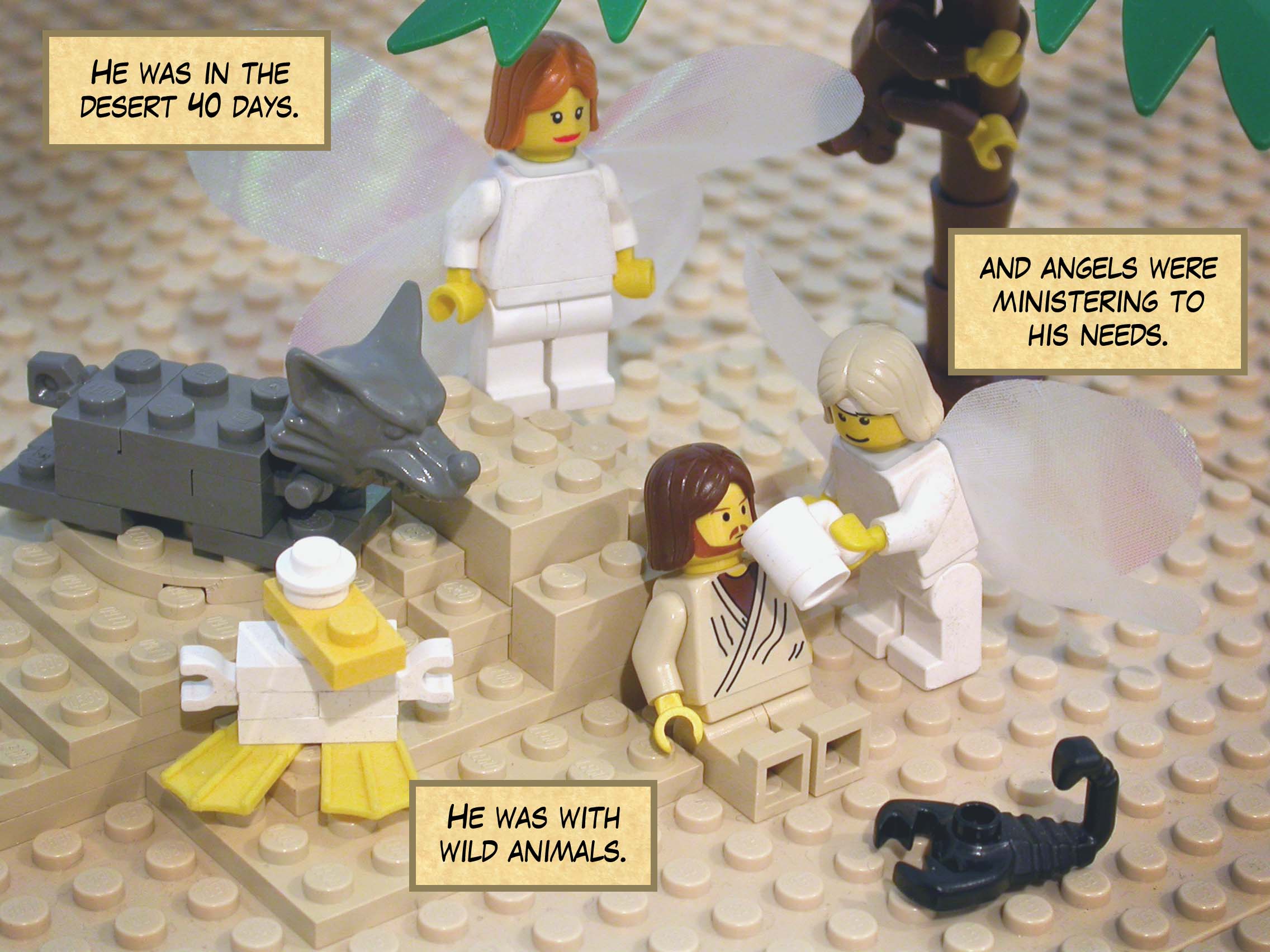 He was in the wilderness forty days. He was with wild animals, and angels were ministering to his needs.<br>