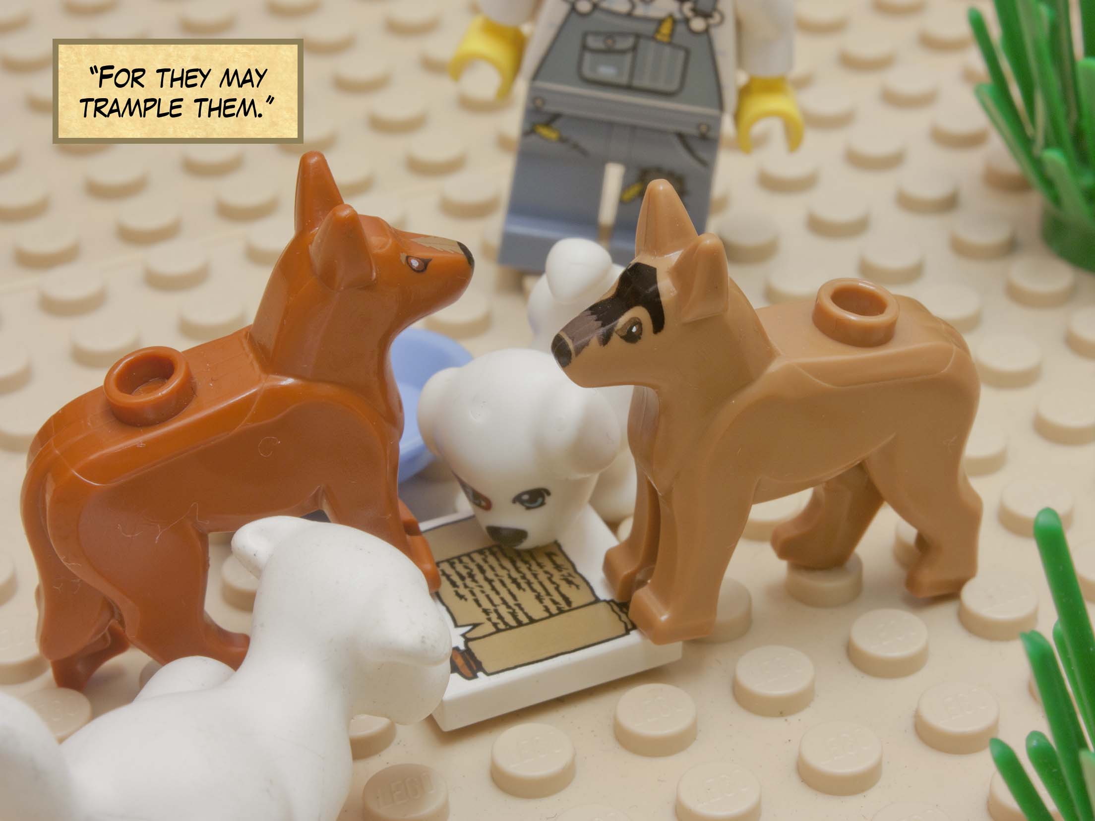 '...cut it off and throw it away.'