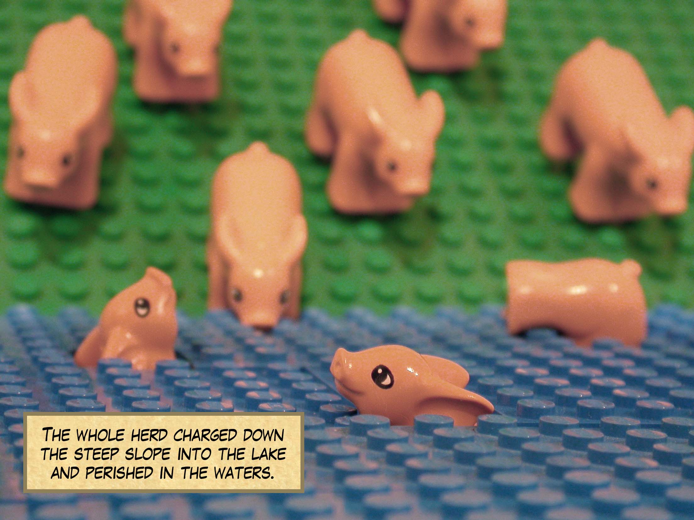 The whole herd charged down the steep slope into the lake and perished in the waters.<br>