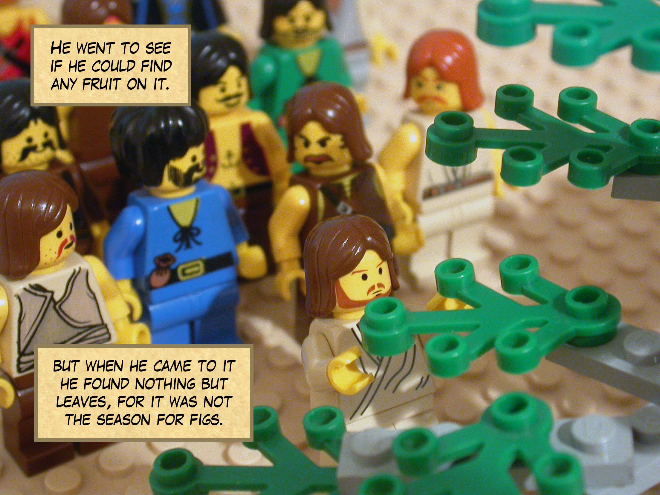 He went to see if he could find any fruit on it, but when he came to it he found nothing but leaves, for it was not the season for figs.