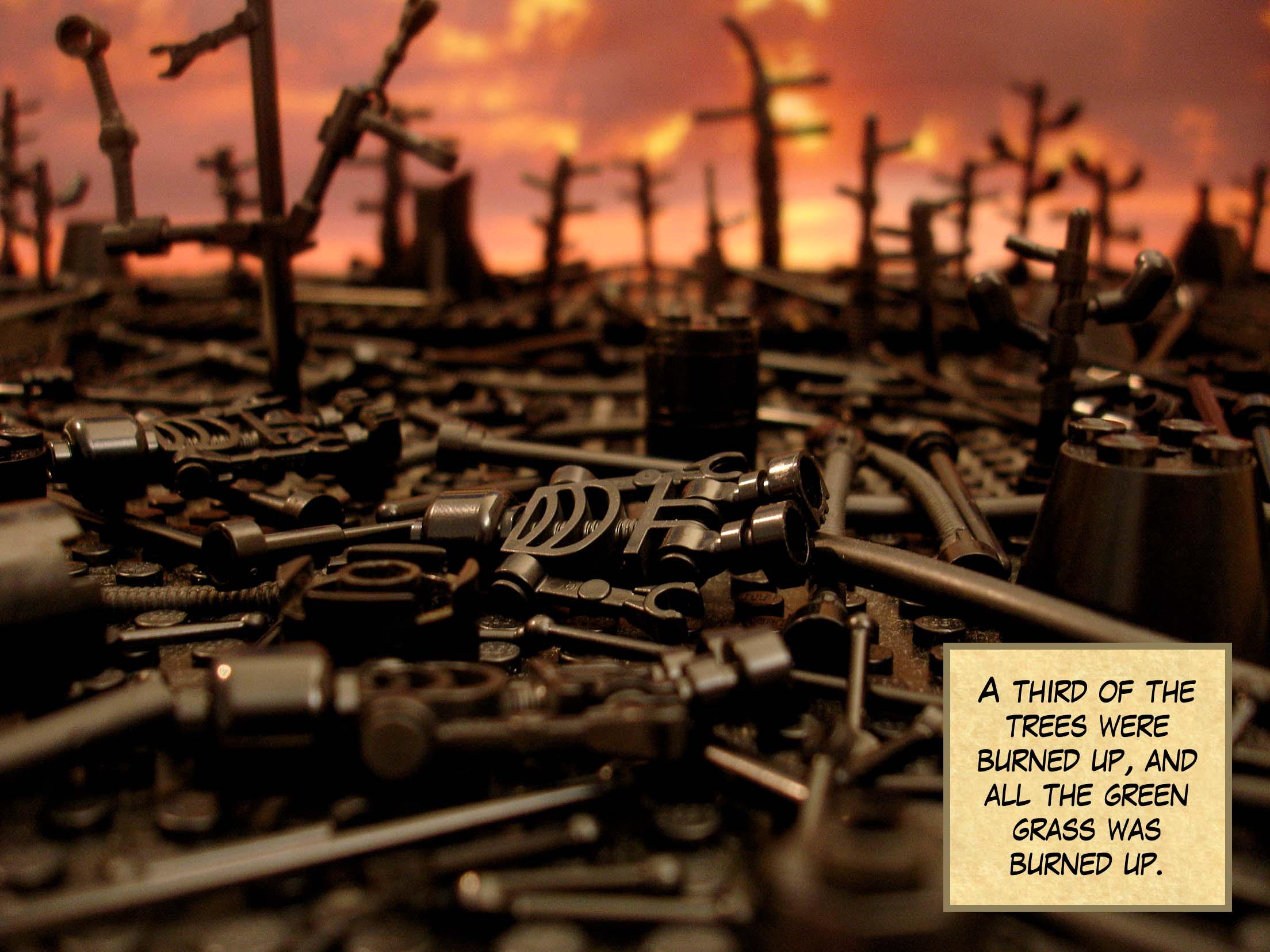 A third of the trees were burned up, and all the green grass was burned up.