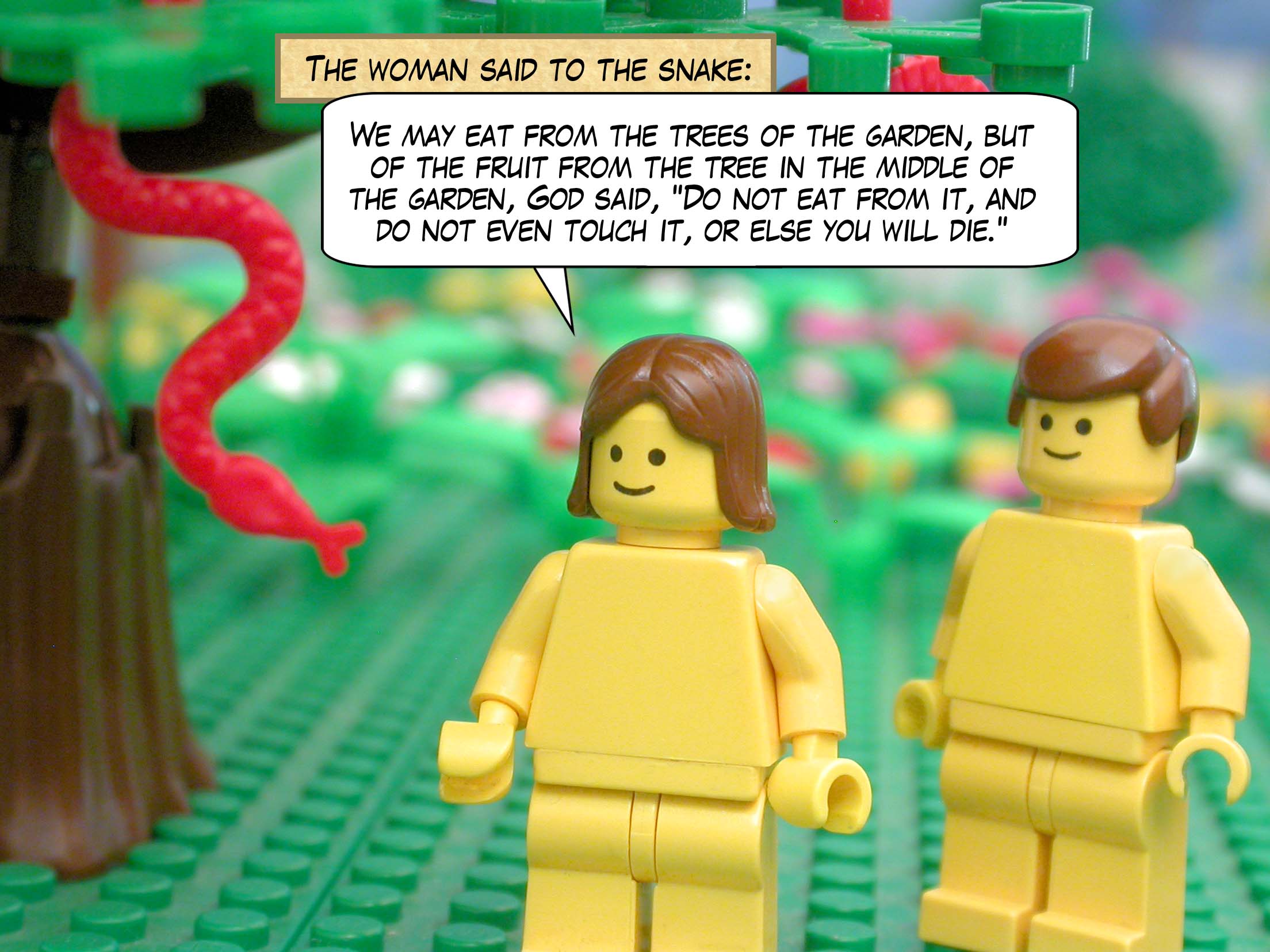 The woman said to the snake, "We may eat from the trees of the garden, but of the fruit from the tree in the middle of the garden, God said, 'Do not eat from it, and do not even touch it, or else you will die.'"