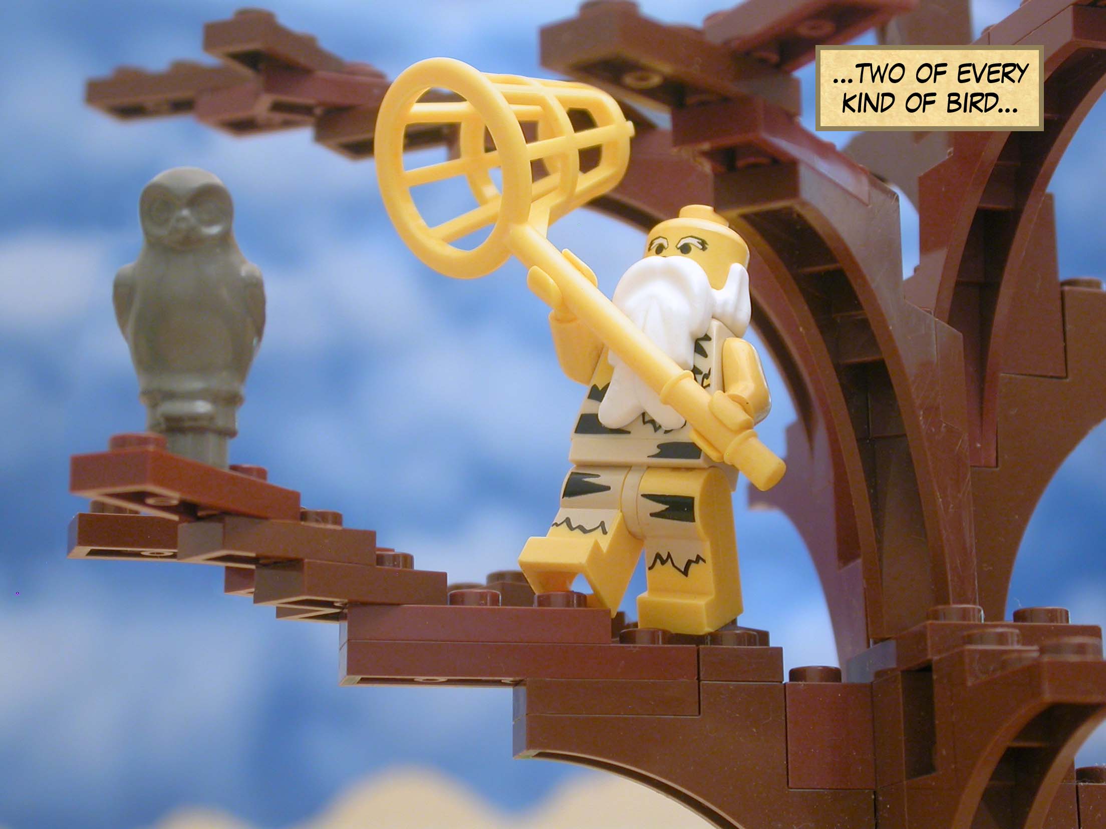 ...two of every kind of bird...