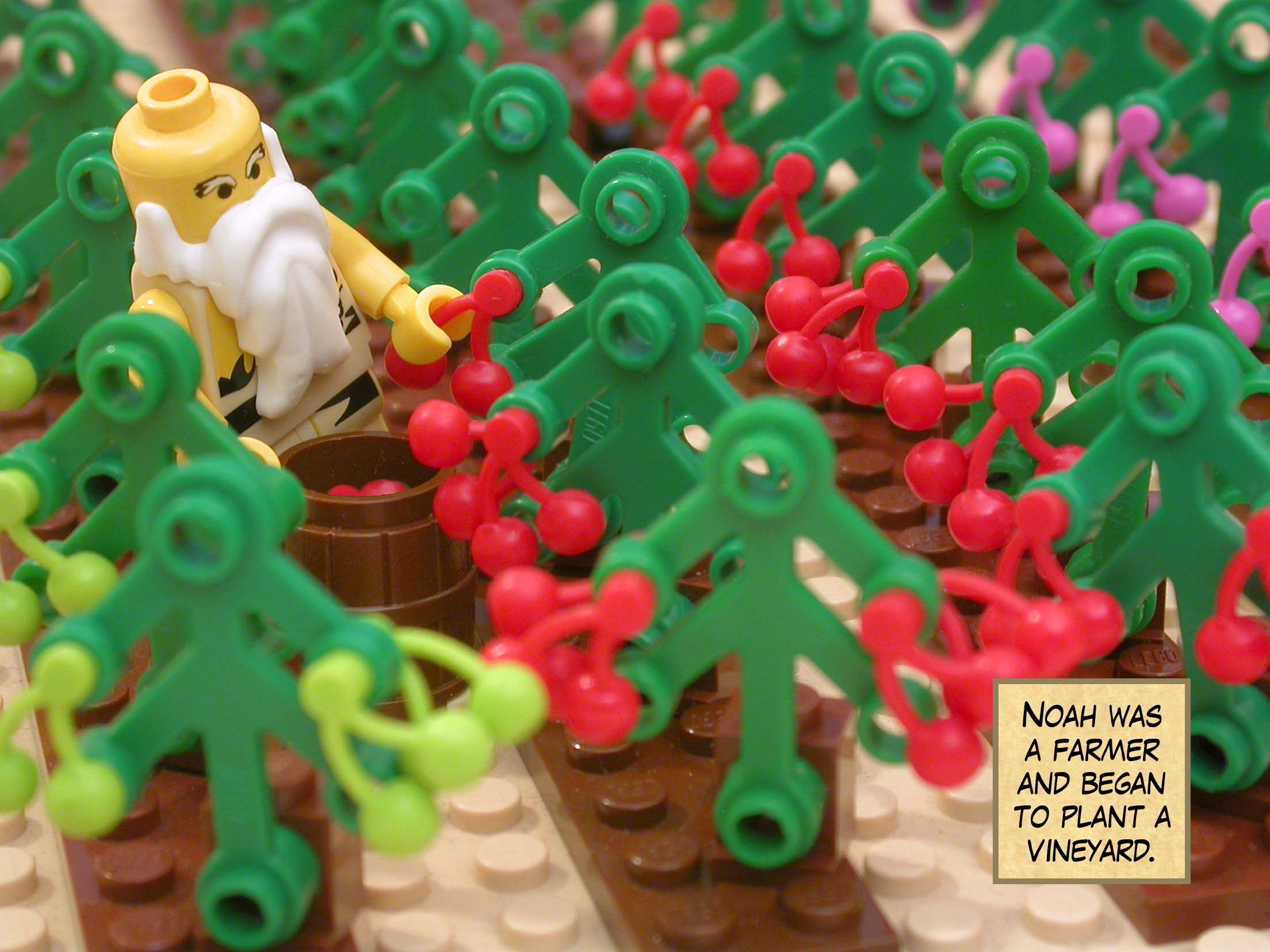 Noah was a farmer and began to plant a vineyard.