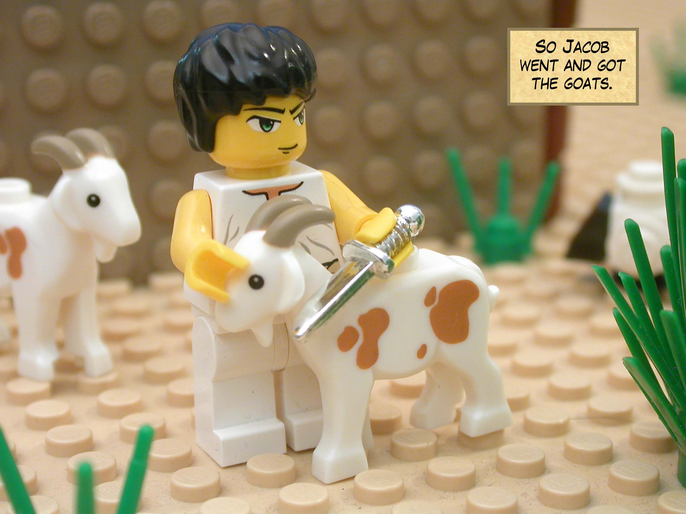 So Jacob went and got the goats.