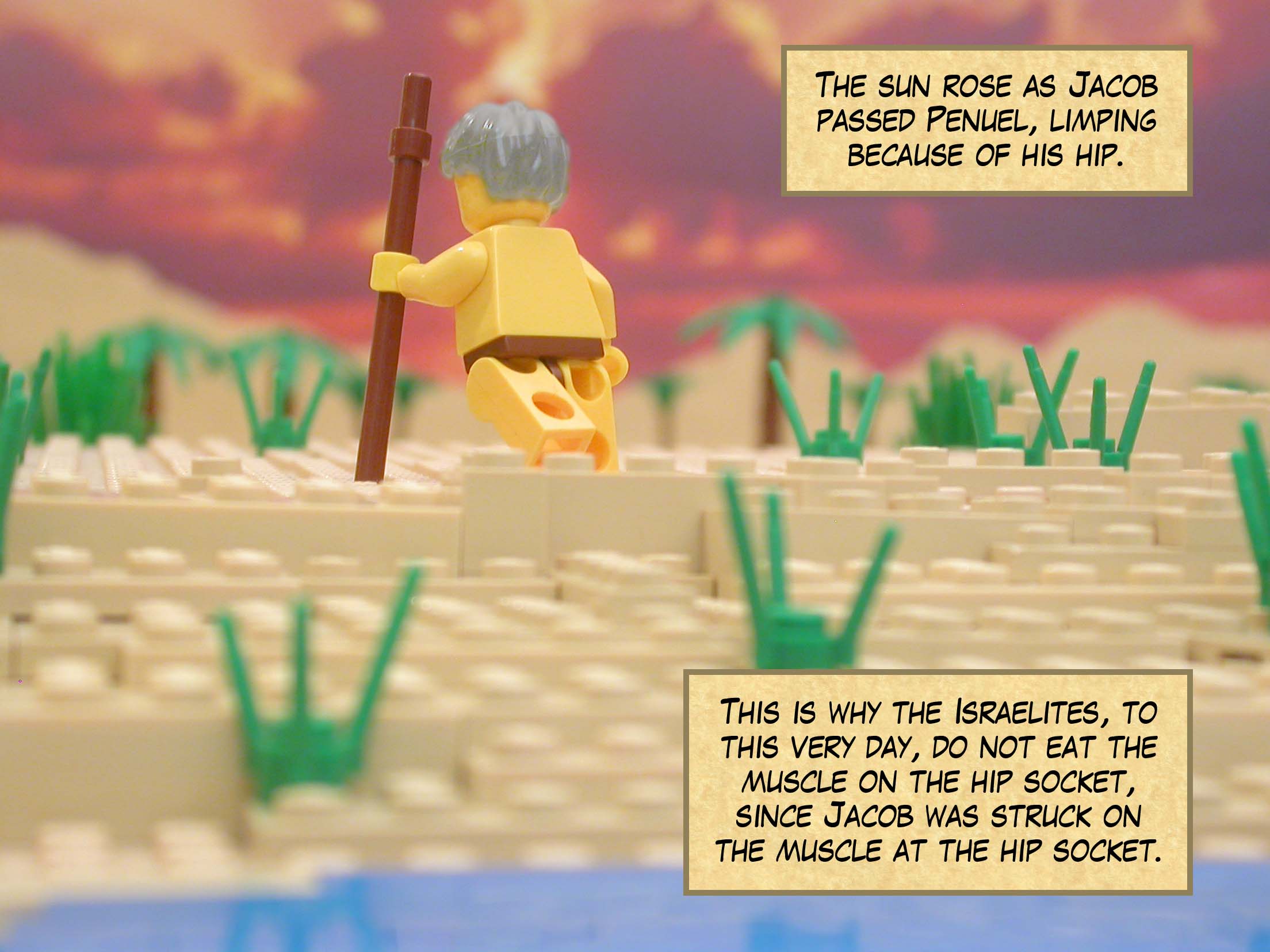 The sun rose as Jacob passed Penuel, limping because of his hip.  This is why the Israelites, to this very day, do not eat the muscle on the hip socket, since Jacob was struck on the muscle at the hip socket.