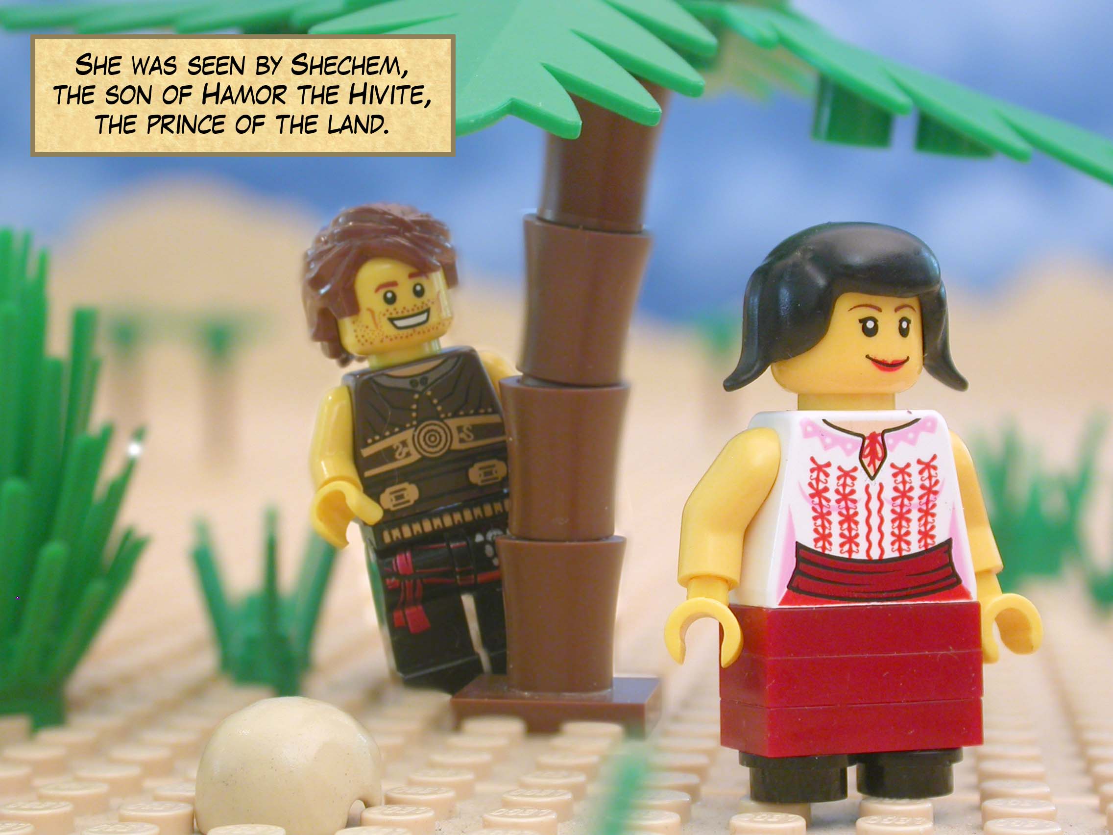 She was seen by Shechem, the son of Hamor the Hivite, the prince of the land.