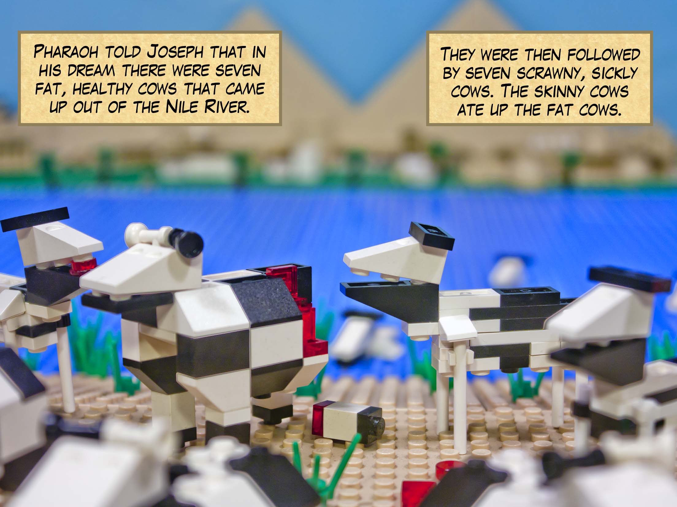 Pharaoh told Joseph that in his dream there were seven fat, healthy cows that came up out of the Nile River. They were then followed by seven scrawny, sickly cows. The skinny cows ate up the fat cows.
