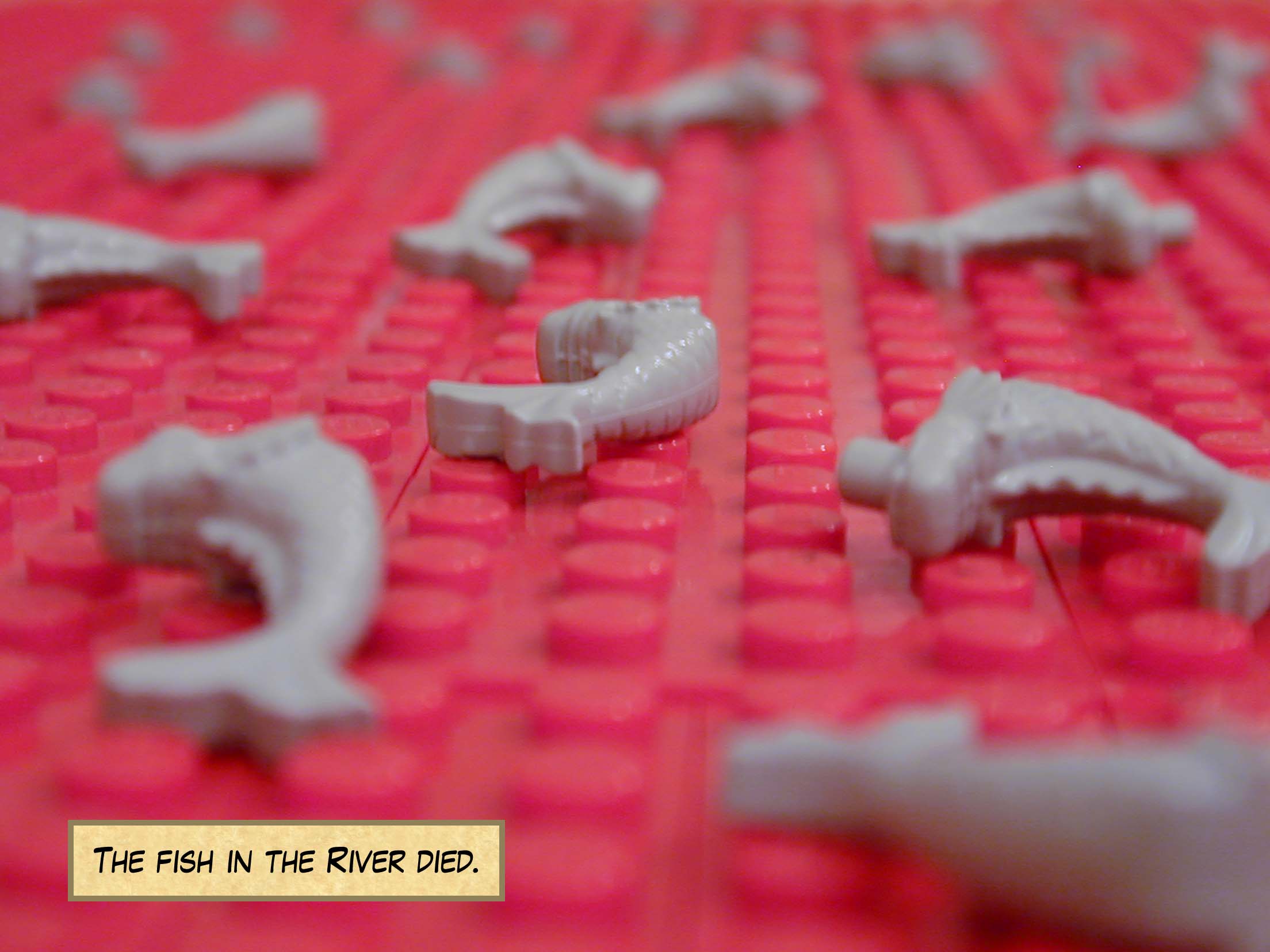 The fish in the river died.