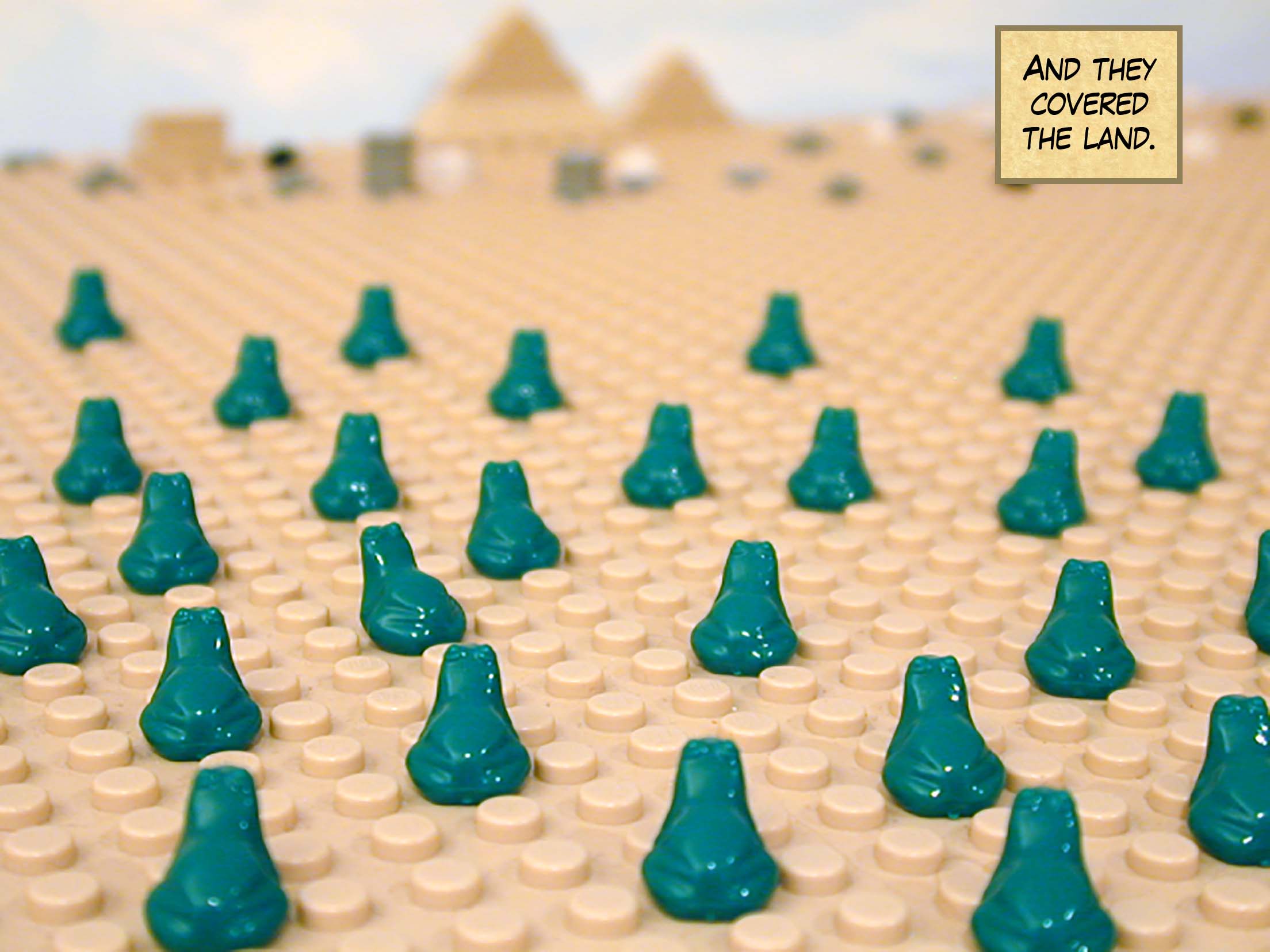 And they covered the land.