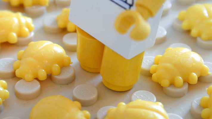 The Plague of Beetles