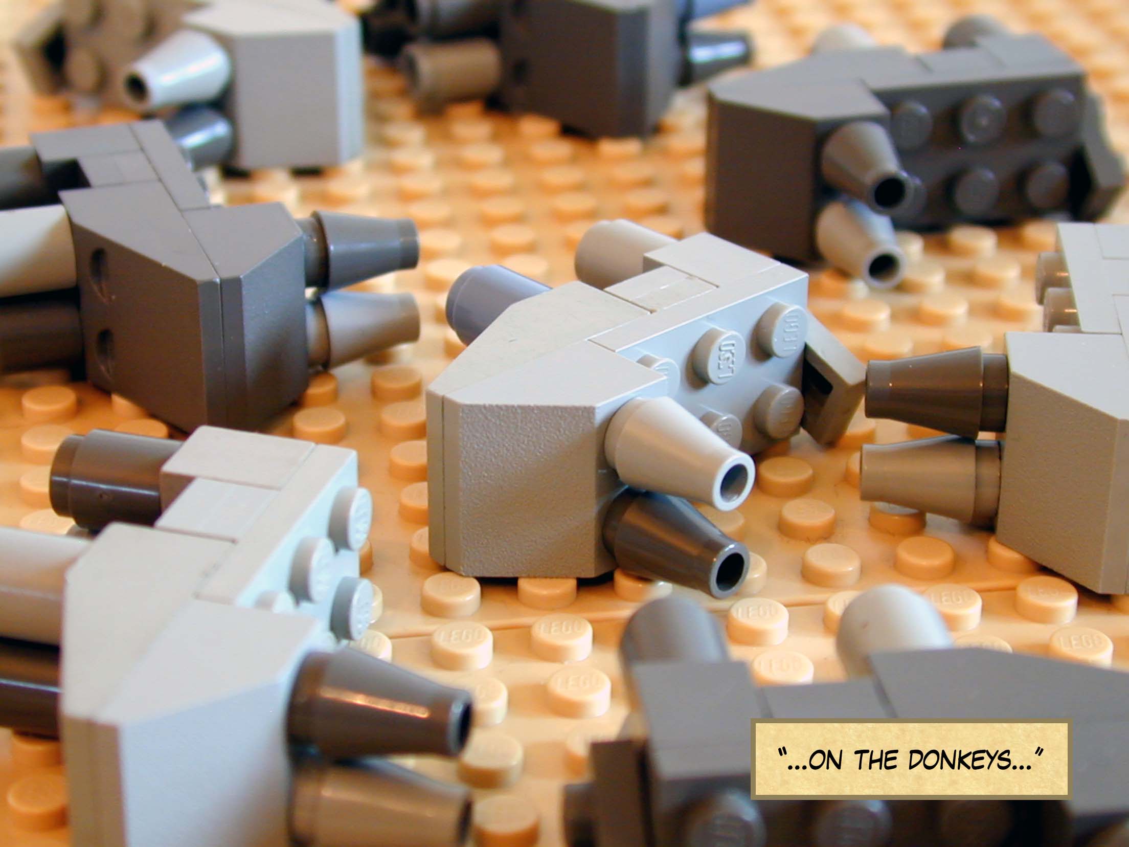 ...on the donkeys...