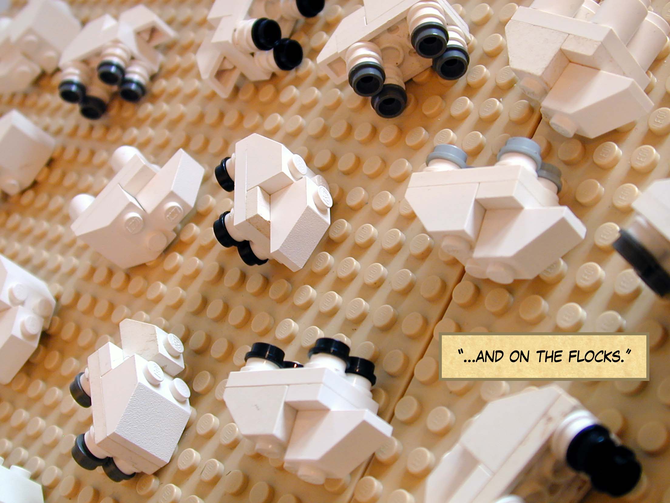 ...and on the flocks.