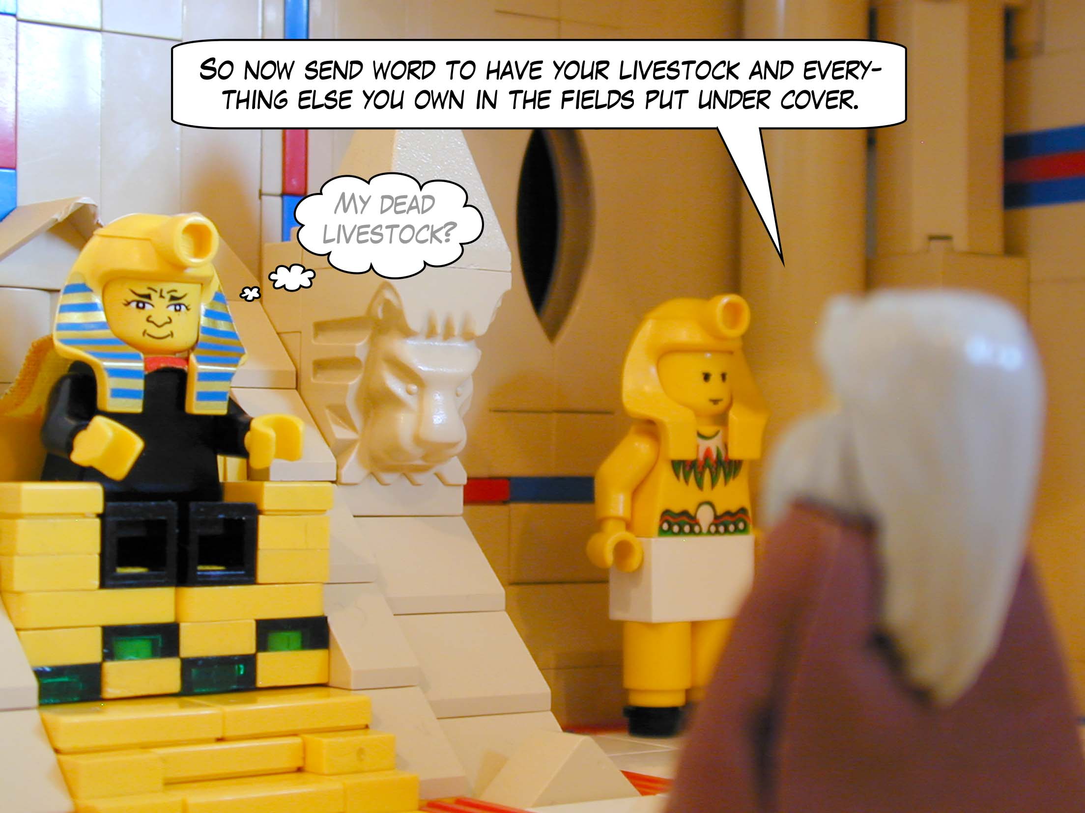 'So now send word to have your livestock and everything else you own in the fields put under cover.'