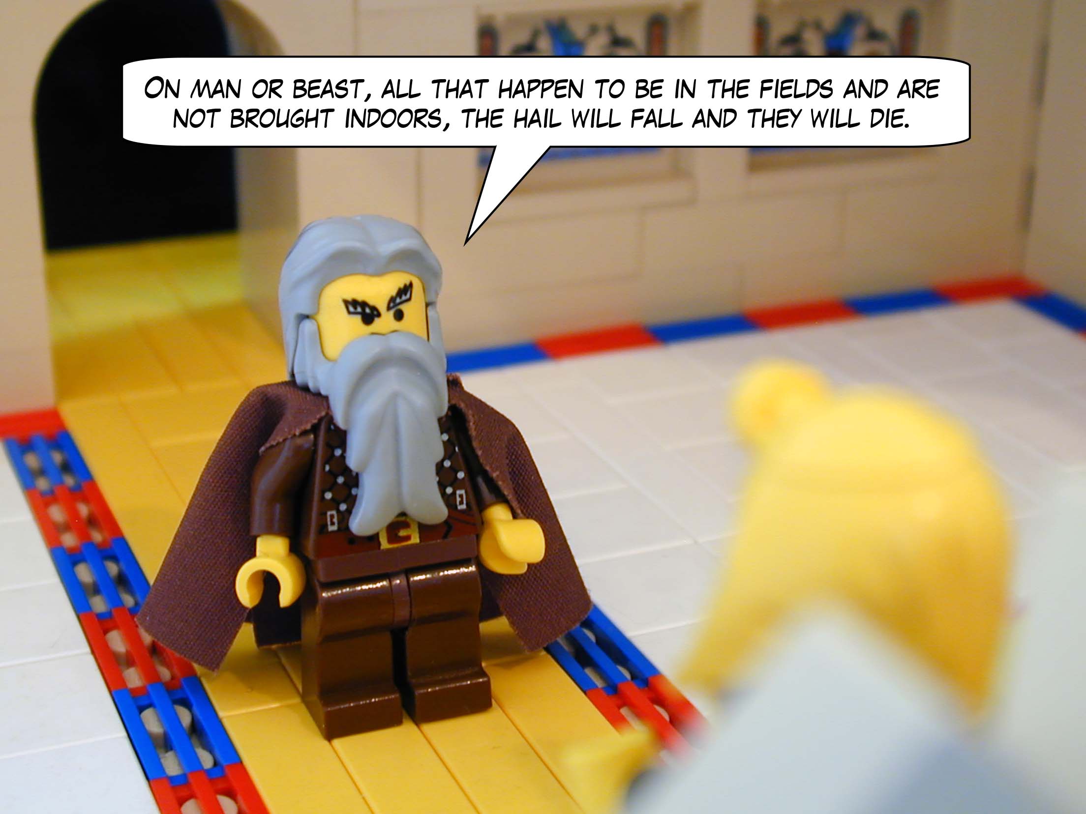 'On man or beast, all that happen to be in the fields and are not brought indoors, the hail will fall and they will die.'