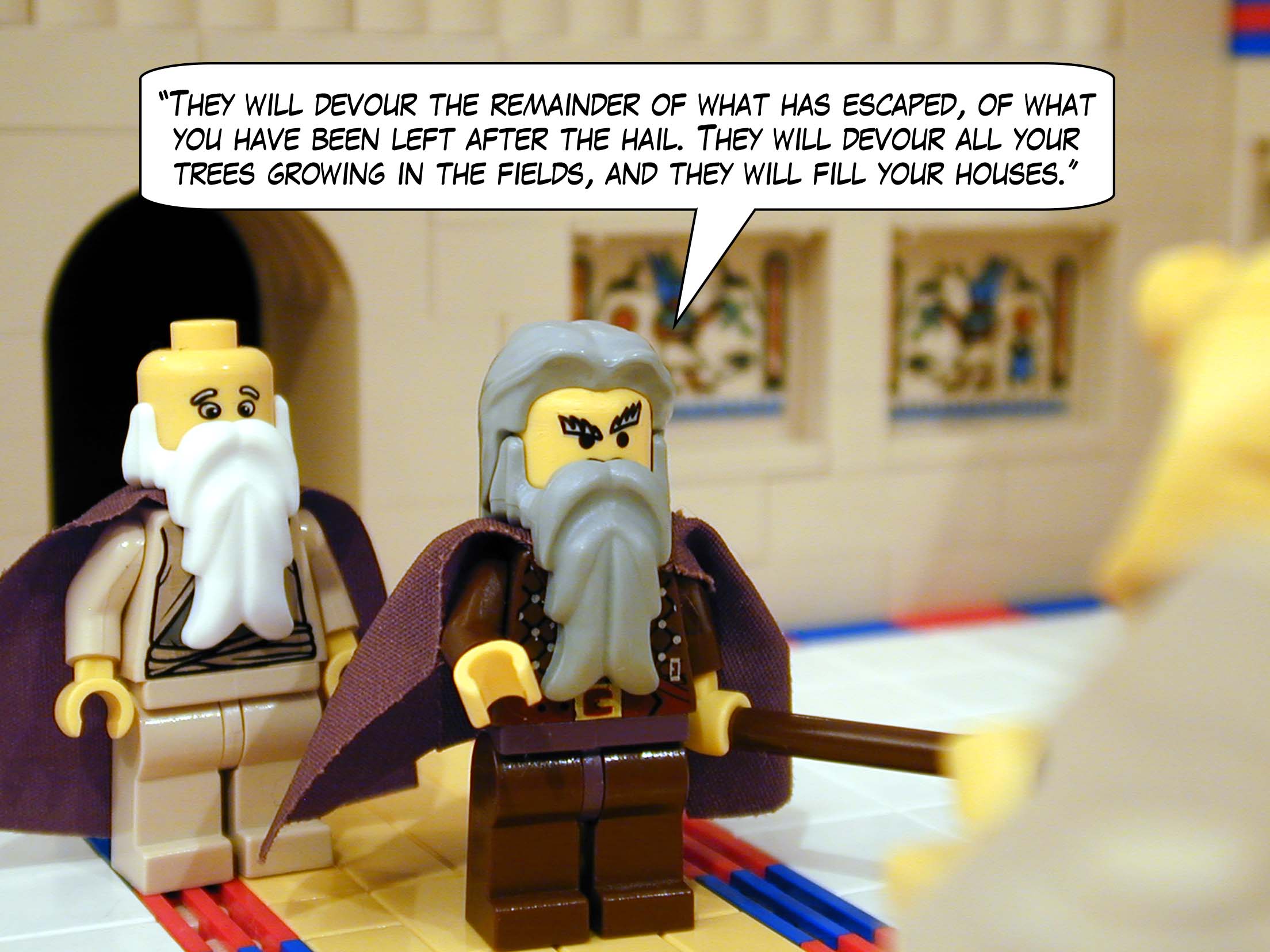 'They will devour the remainder of what has escaped, of what you have been left after the hail. They will devour all your trees growing in the fields, and they will fill your houses.'