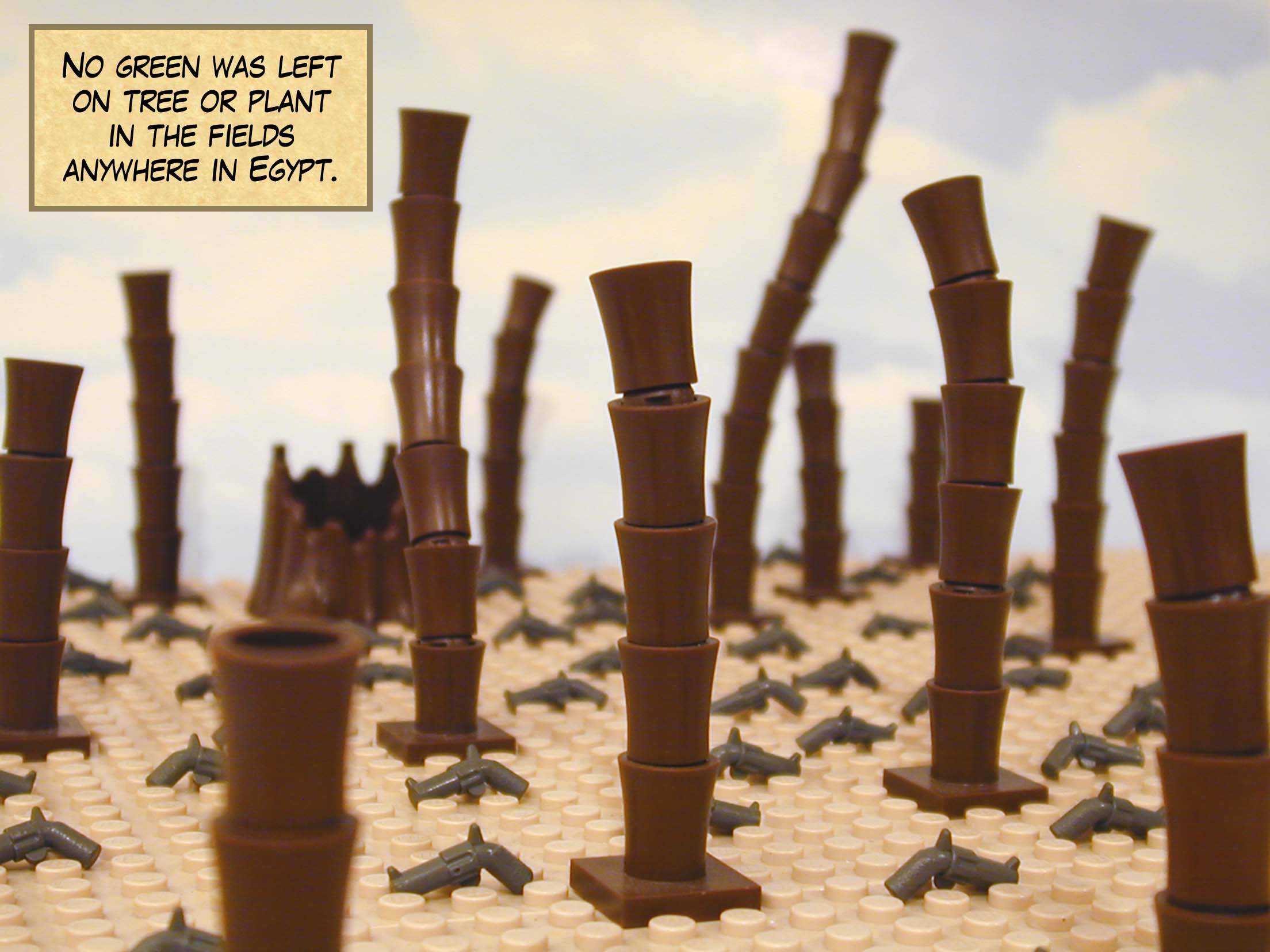 No green was left on tree or plant in the fields anywhere in Egypt.