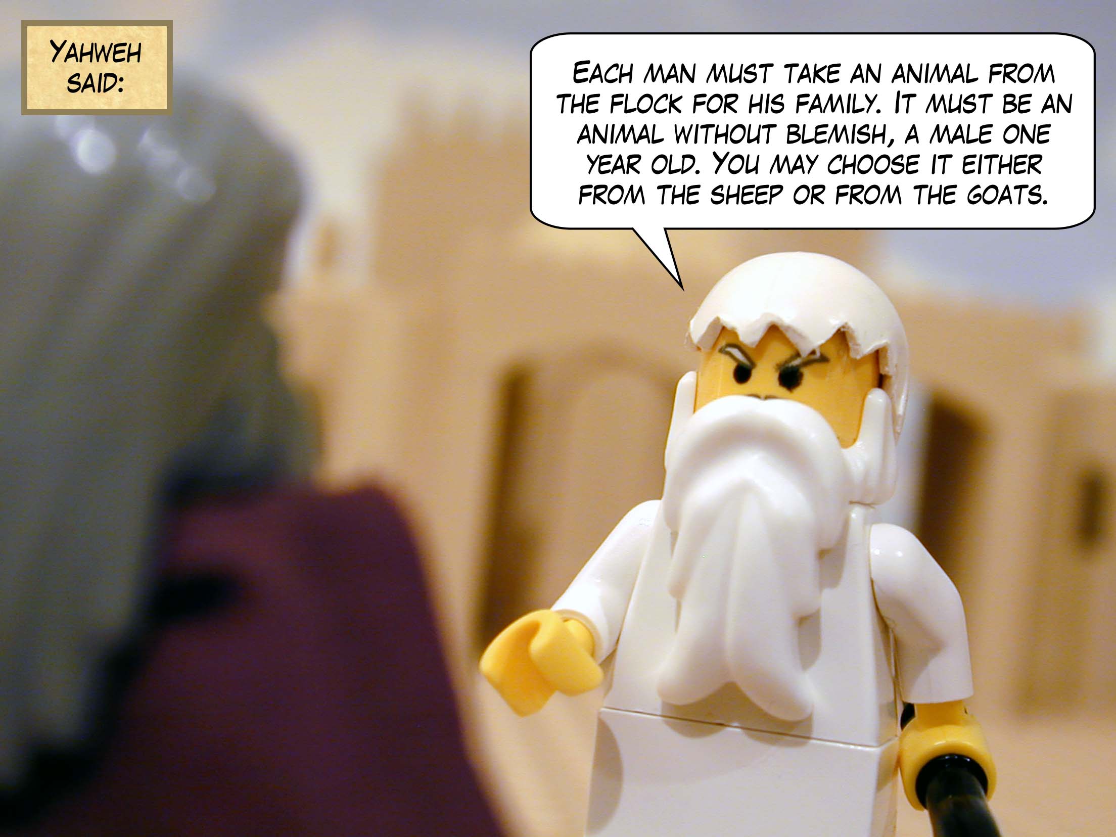 Yahweh said to Moses and Aaron in Egypt, 'Each man must take an animal from the flock for his family. It must be an animal without blemish, a male one year old. You may choose it either from the sheep or from the goats.'