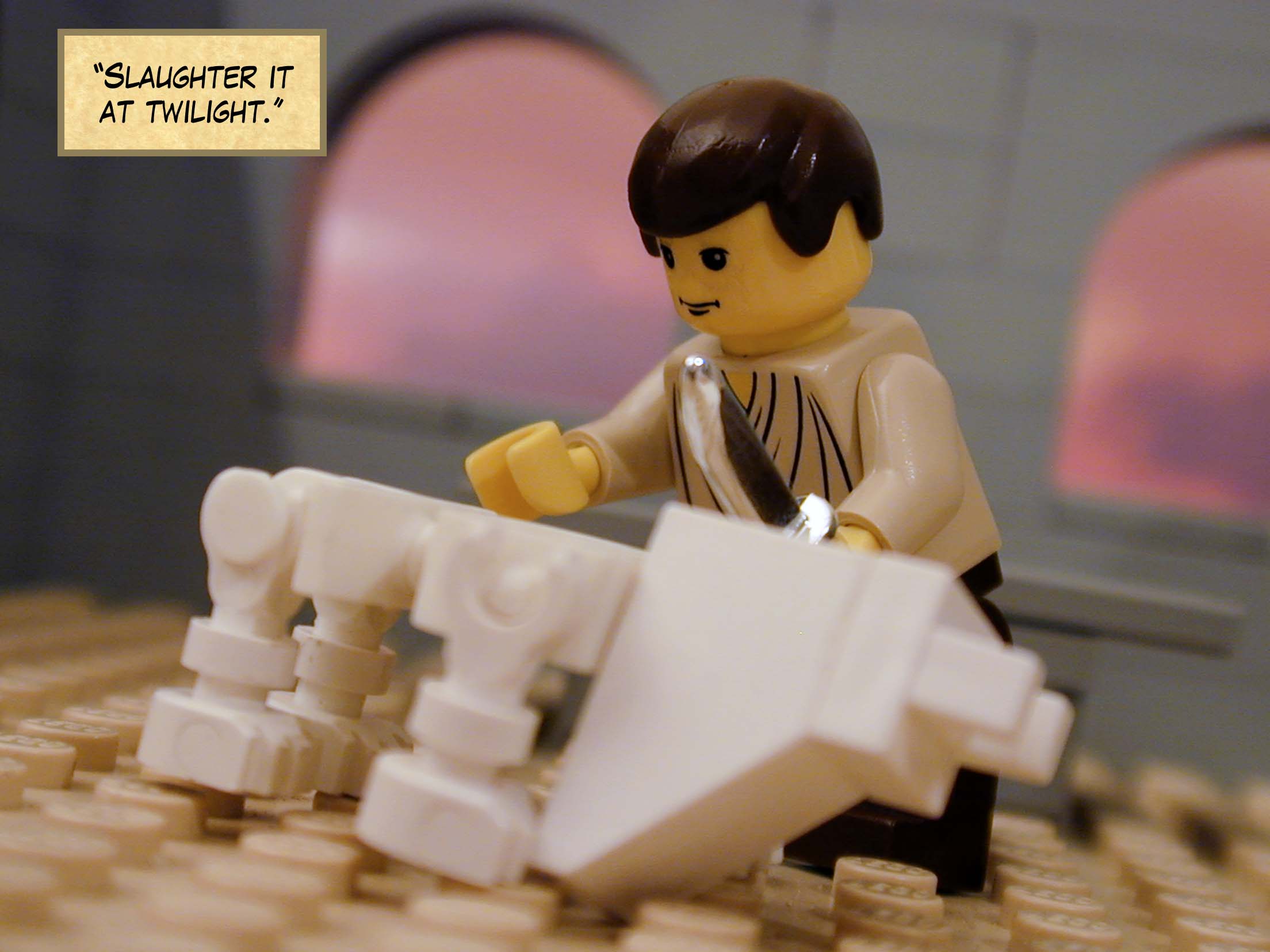 'Slaughter it at twilight.'