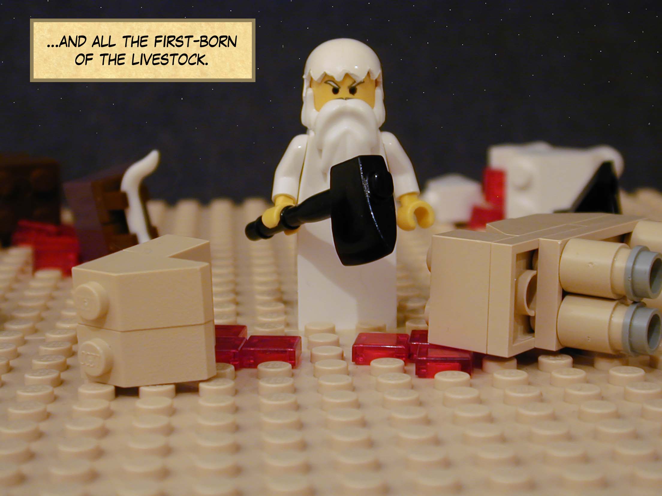 ...and all the first-born of the livestock.