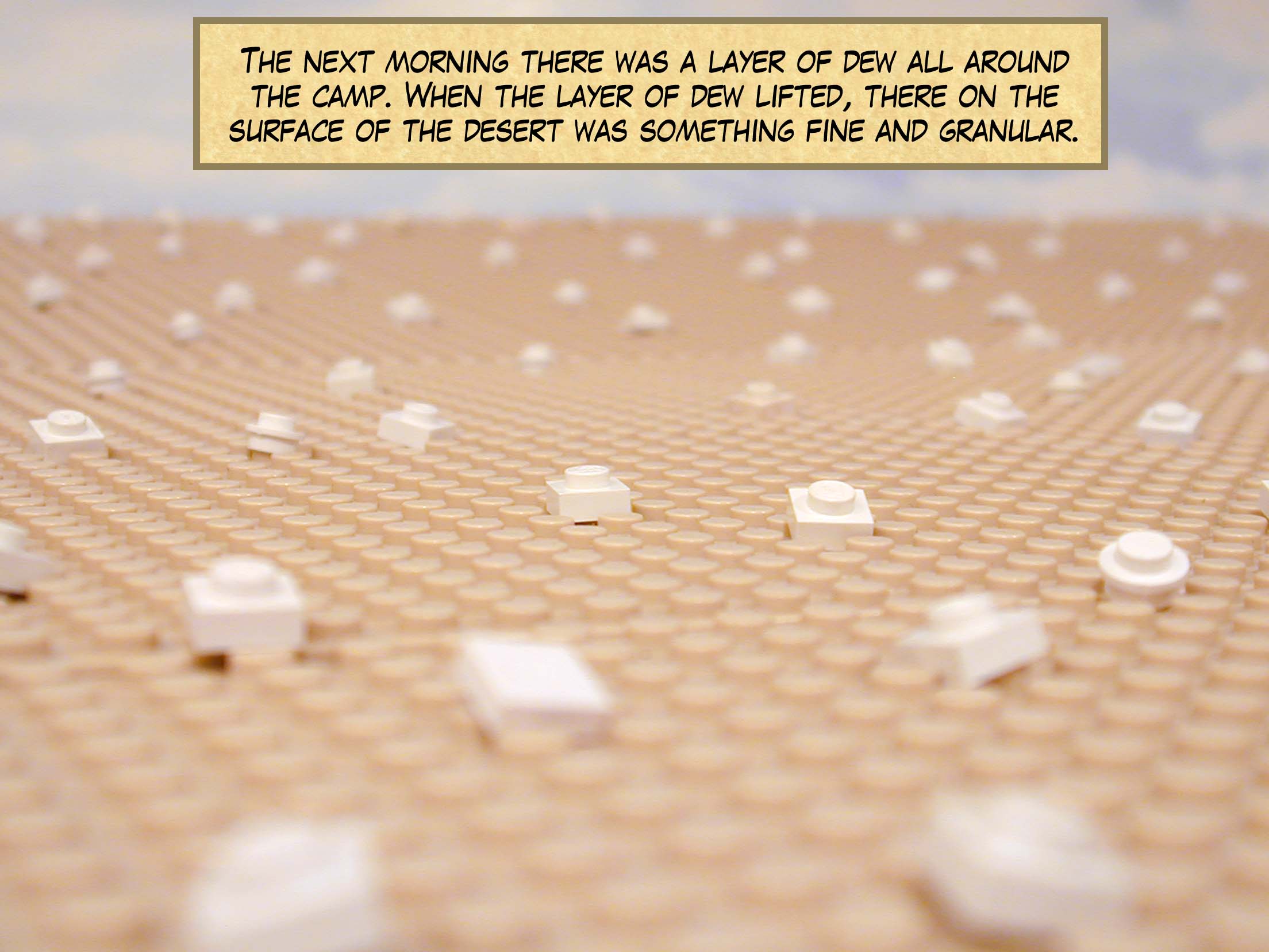 The next morning there was a layer of dew all around the camp. When the layer of dew lifted, there on the surface of the desert was something fine and granular.