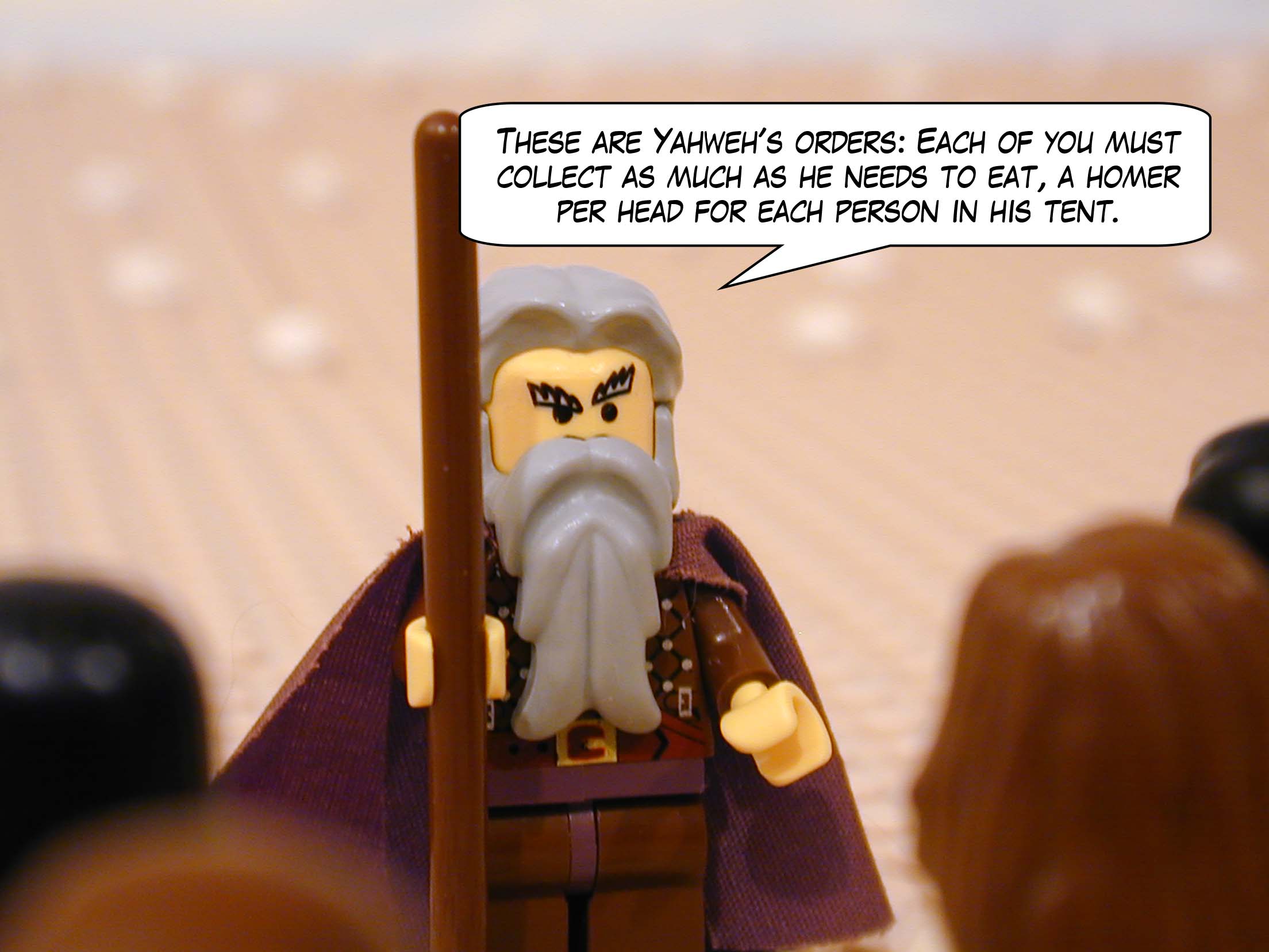 'These are Yahweh's orders: Each of you must collect as much as he needs to eat -- a homer per head for each person in his tent.'