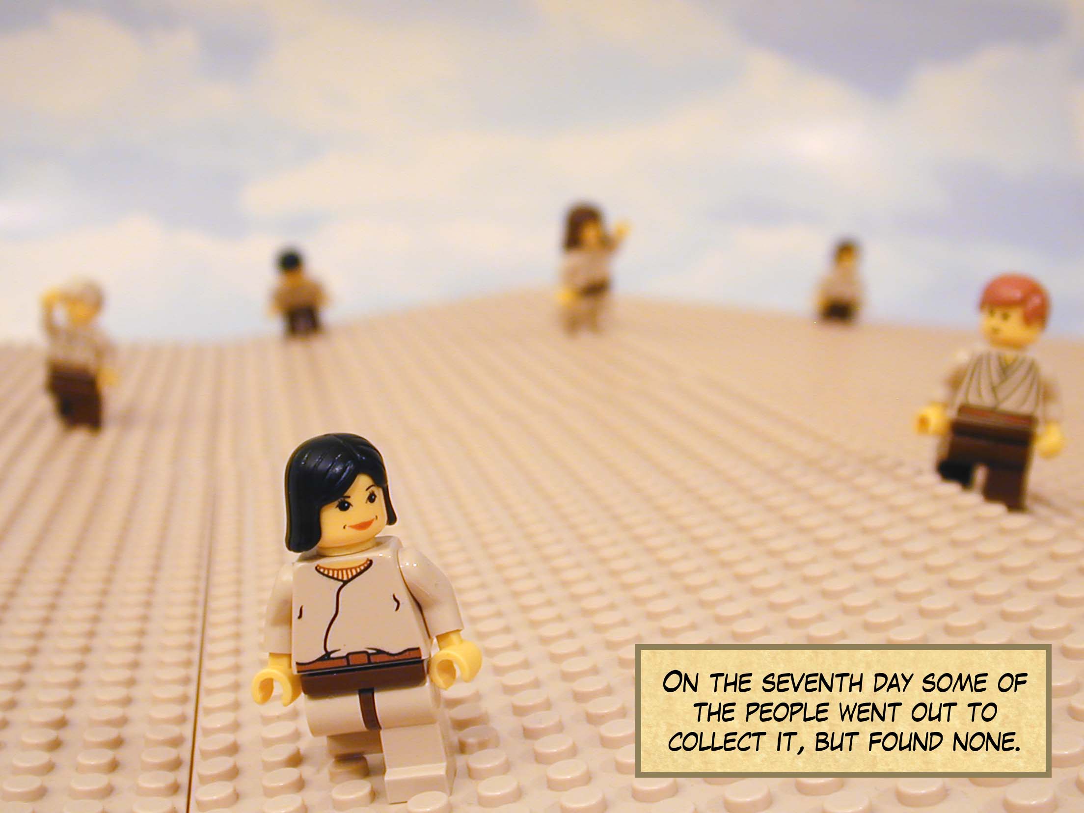 On the seventh day some of the people went out to collect it, but found none.