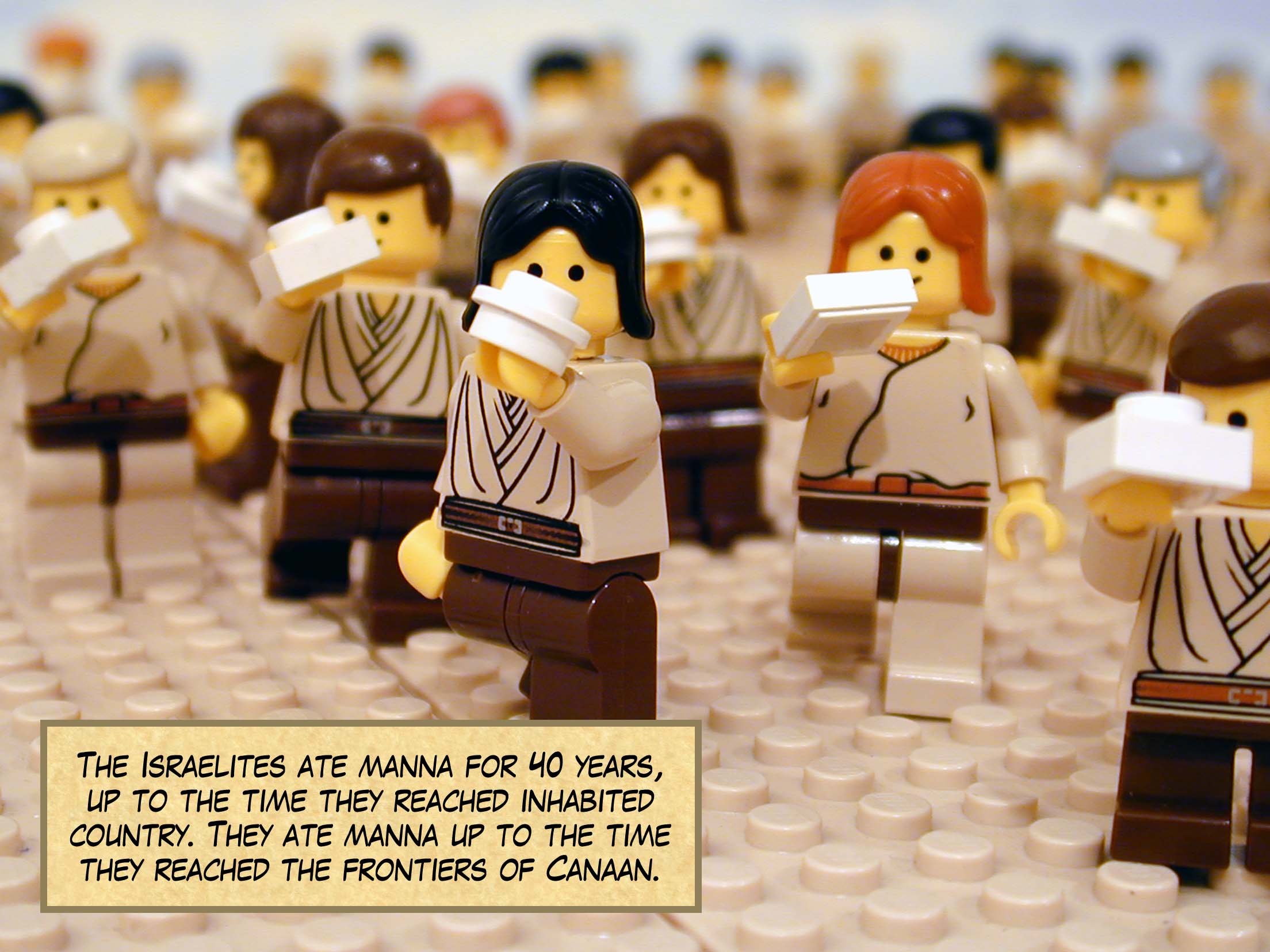 The Israelites ate manna for forty years, up to the time they reached inhabited country. They ate manna up to the time they reached the frontiers of Canaan.