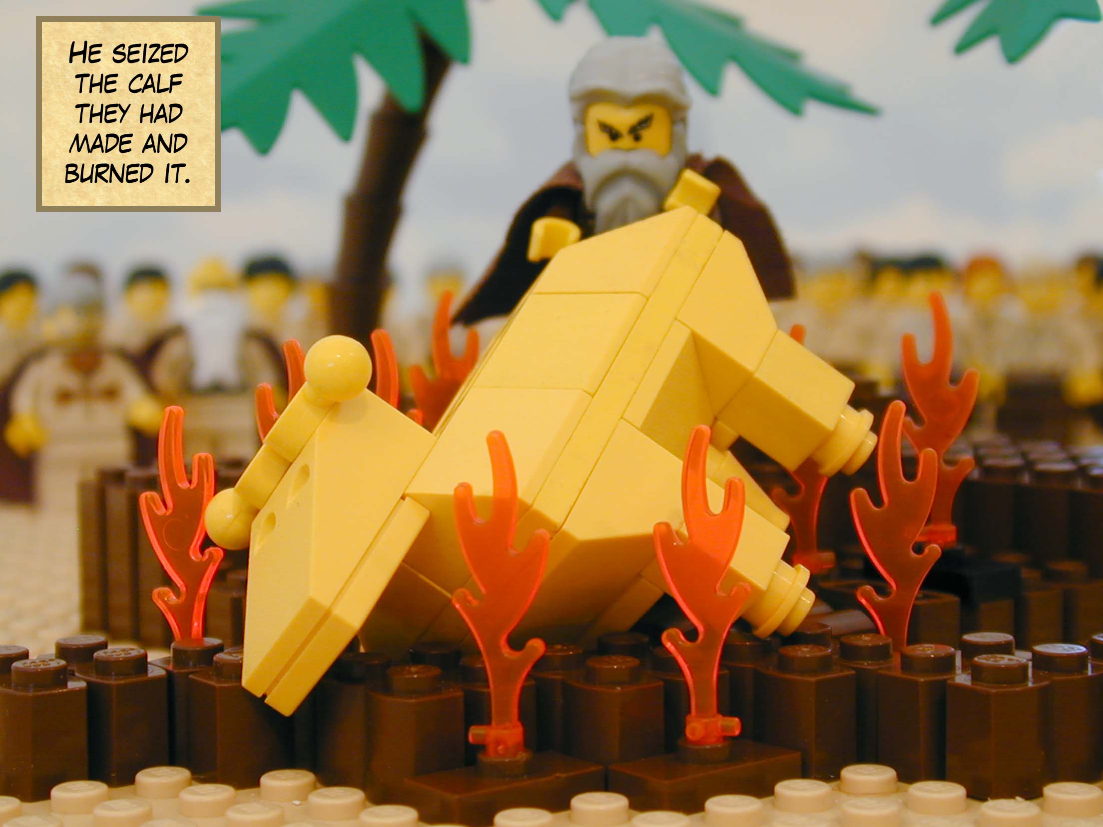 He seized the calf they had made and burned it.