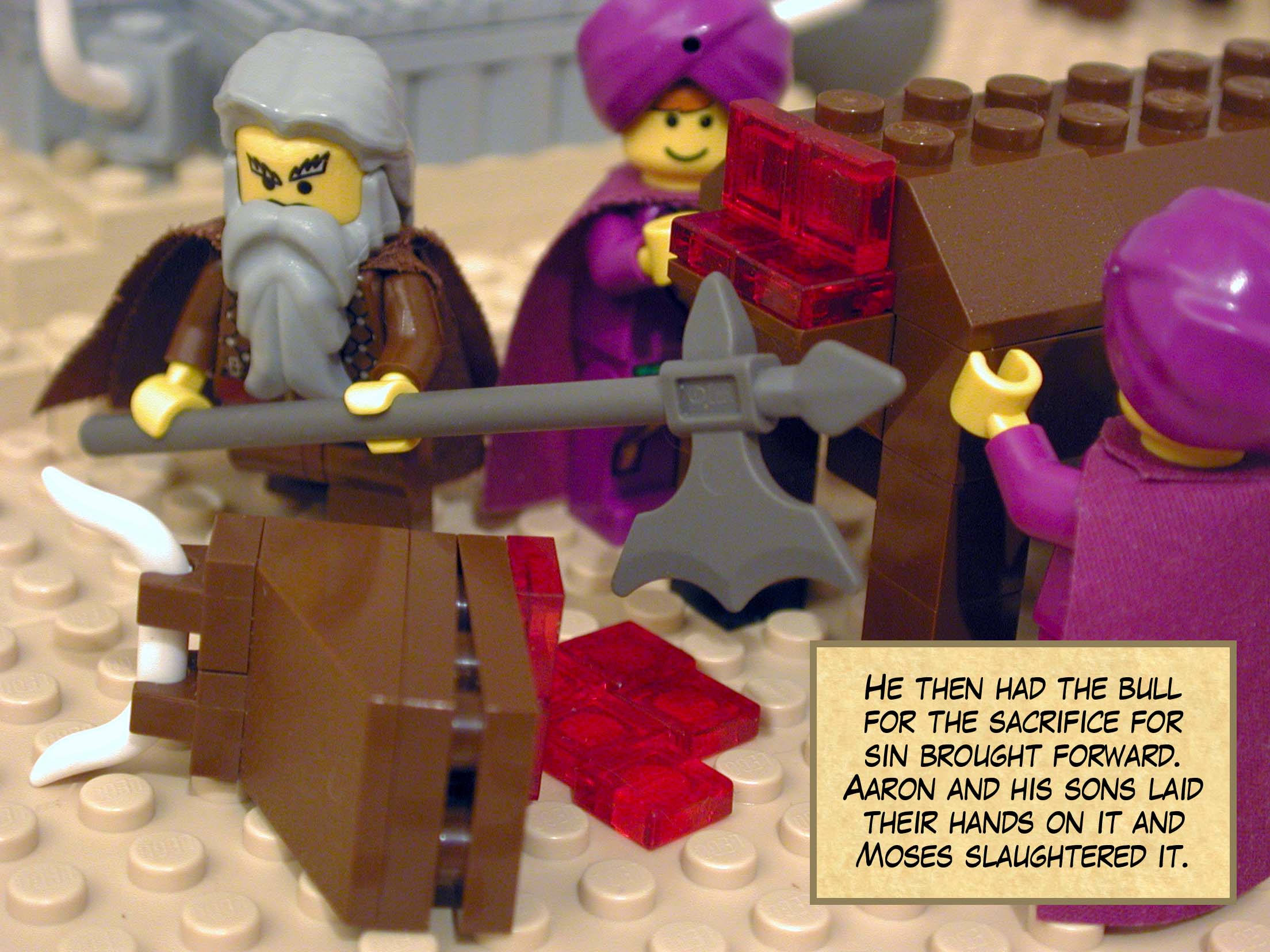 He then had the bull for the sacrifice for sin brought forward. Aaron and his sons laid their hands on it and Moses slaughtered it.