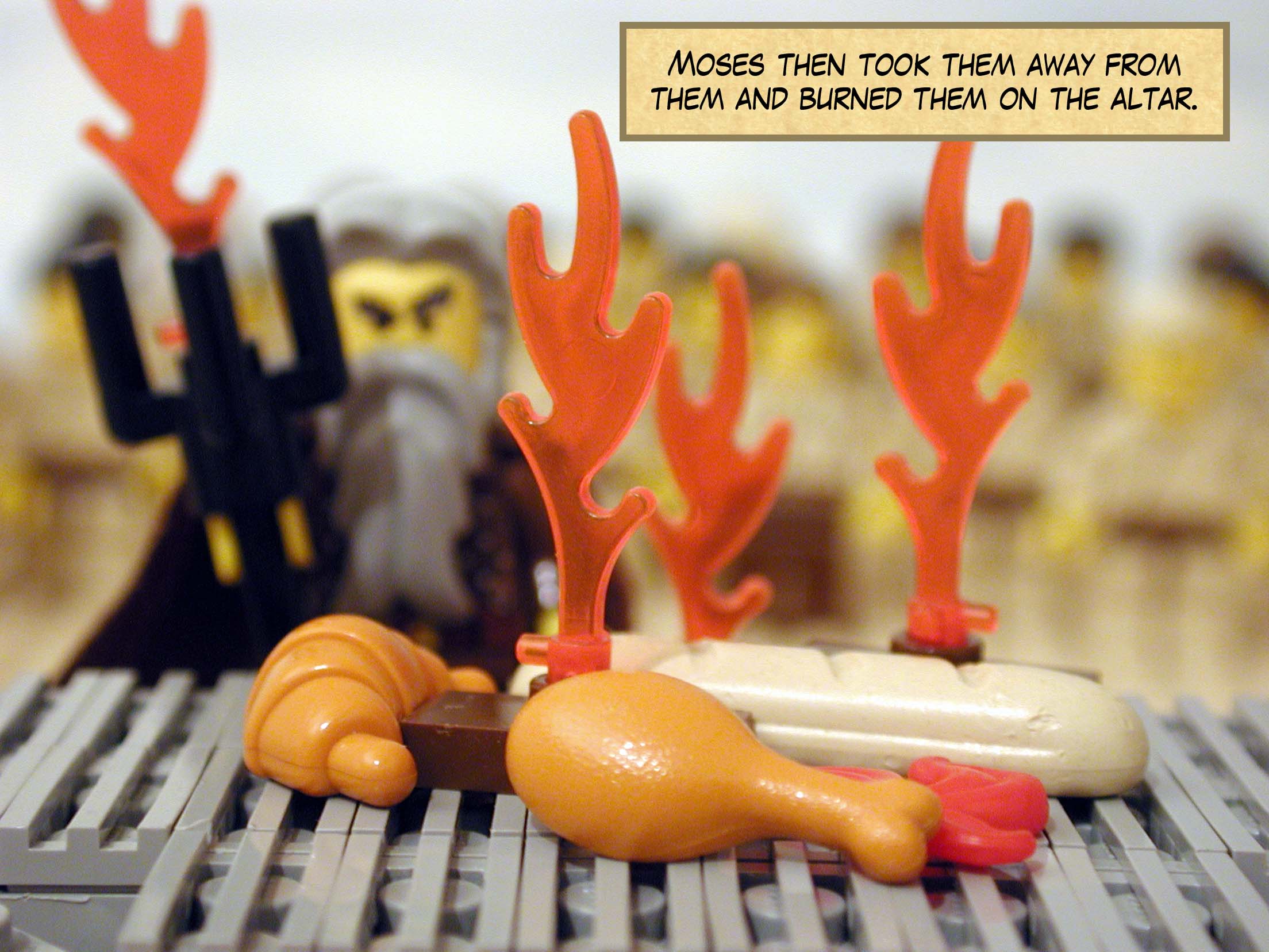 Moses then took them away from them and burned them on the altar.