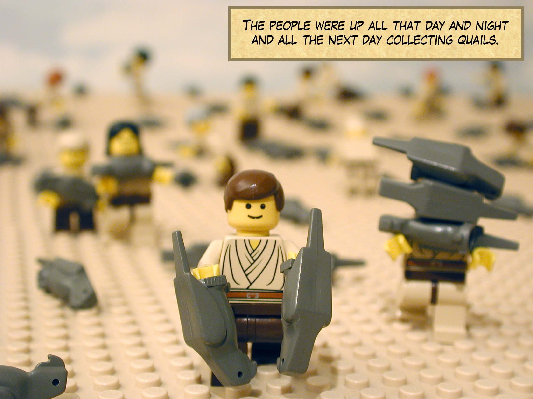 The people were up all that day and night and all the next day collecting quails.