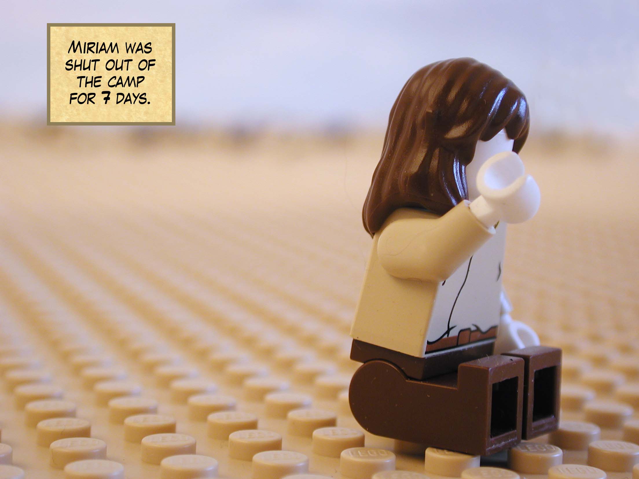 Miriam was shut out of the camp for seven days. Next story: Blasphemer Stoned