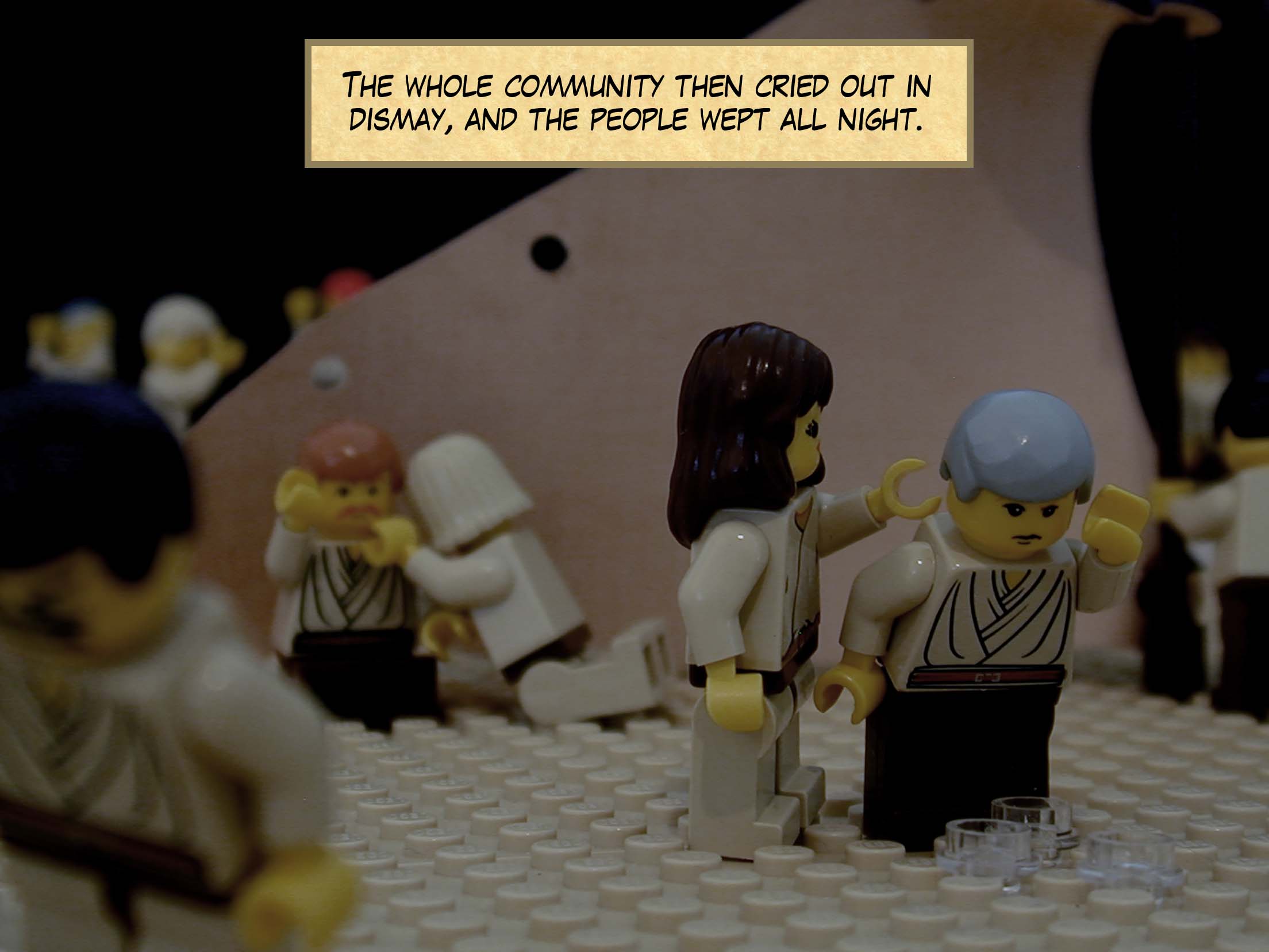 The whole community then cried out in dismay, and the people wept all night.