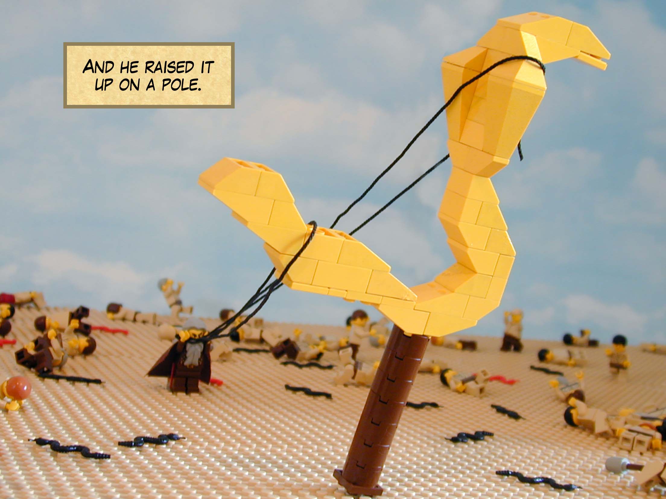 And he raised it up on a pole.