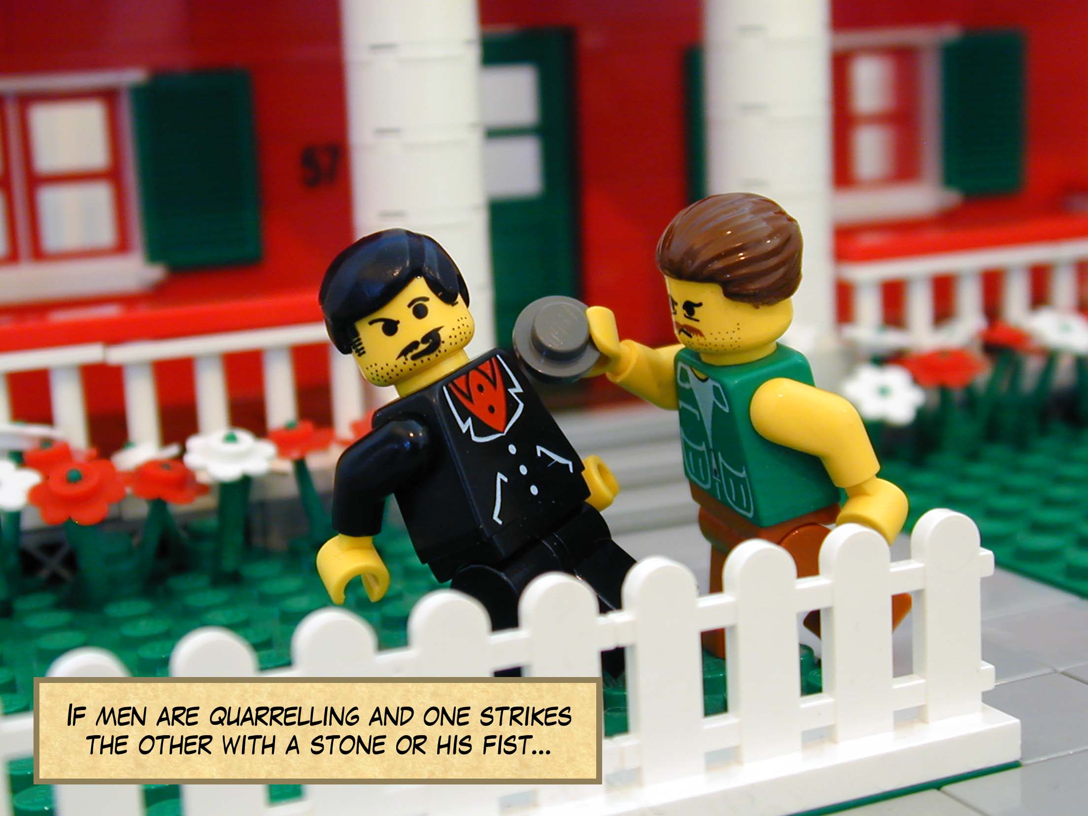 'If men are quarrelling and one strikes the other with a stone or his fist...'