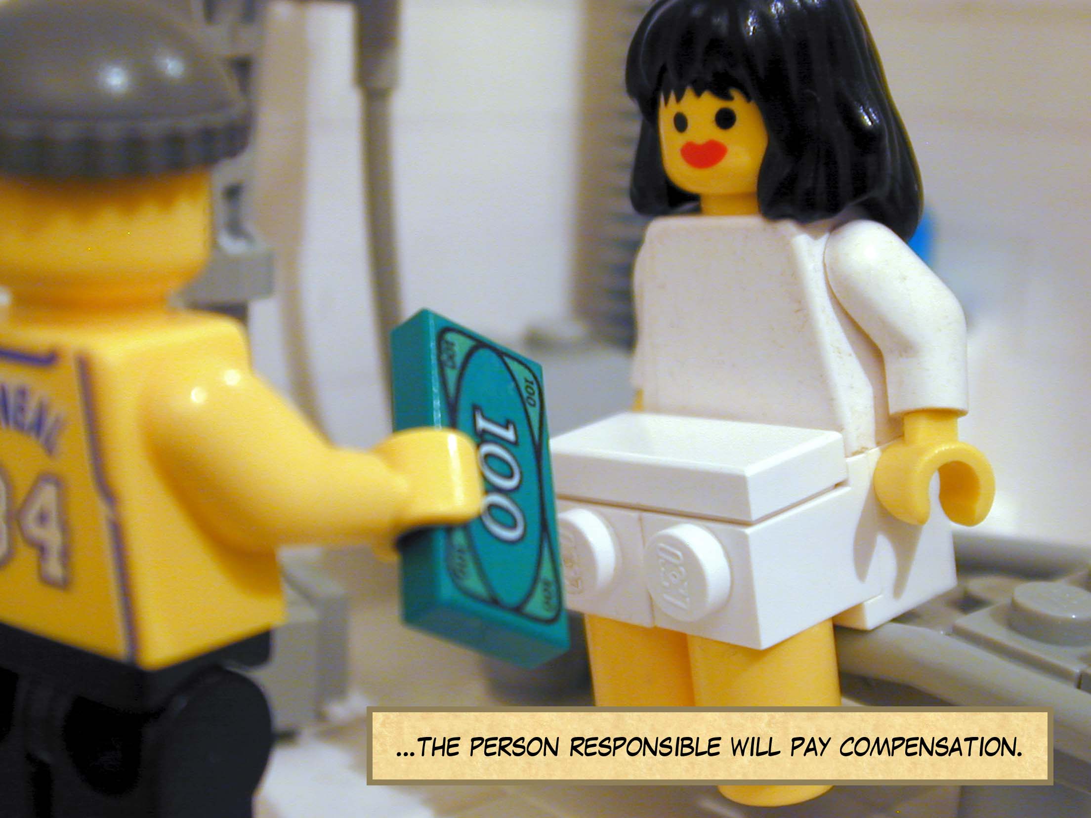 '...the person responsible will pay compensation.'