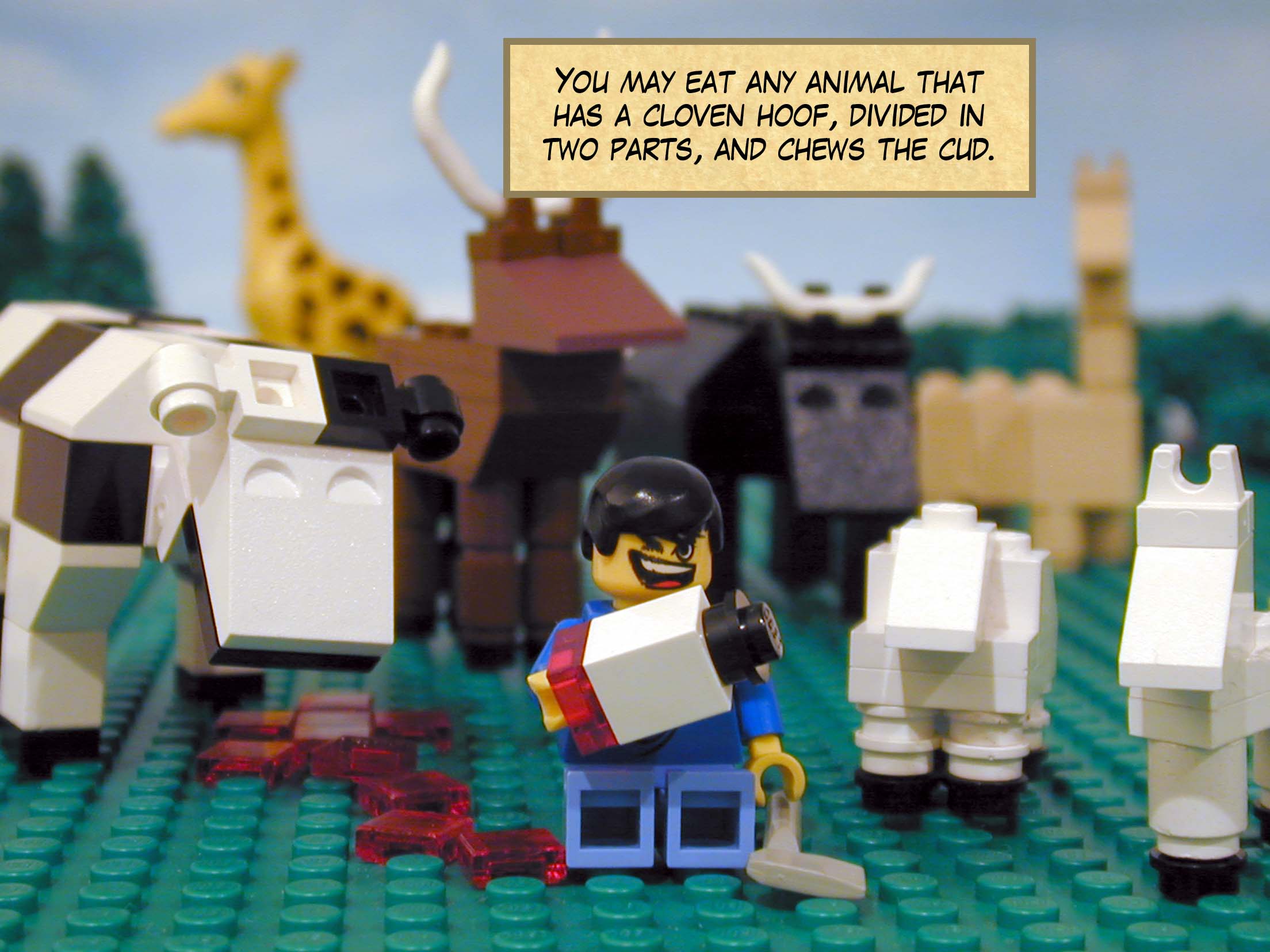 'You may eat any animal that has a cloven hoof, divided in two parts, and chews the cud.'