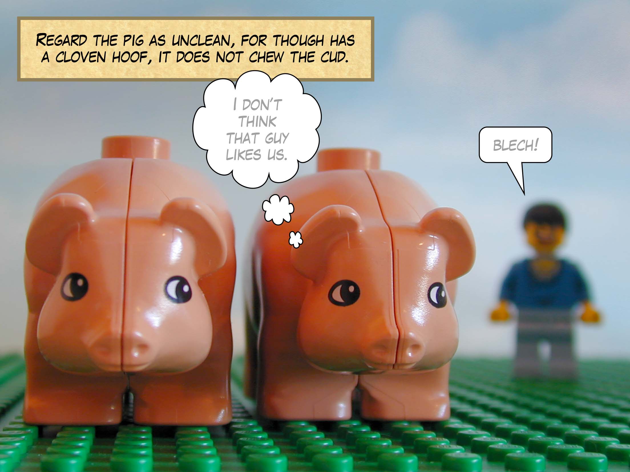 'Regard the pig as unclean, for though has a cloven hoof, it does not chew the cud.'