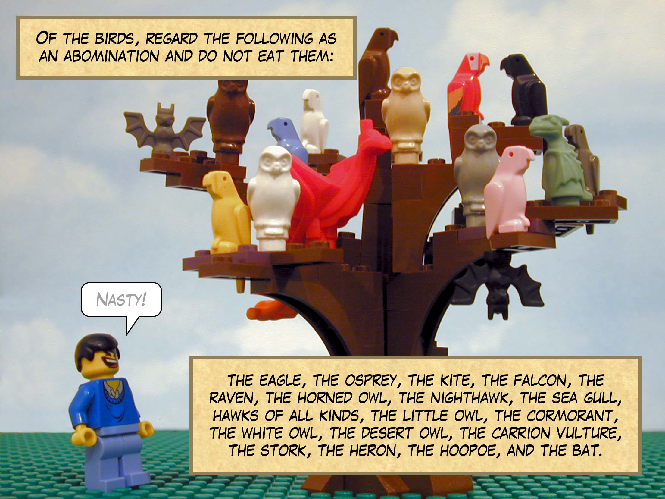 'Of the birds, regard the following as an abomination and do not eat them: the eagle, the osprey, the kite, the falcon, the raven, the horned owl, the nighthawk, the sea gull, hawks of all kinds, the little owl, the cormorant, the white owl, the desert owl, the carrion vulture, the stork, the heron, the hoopoe, and the bat.'