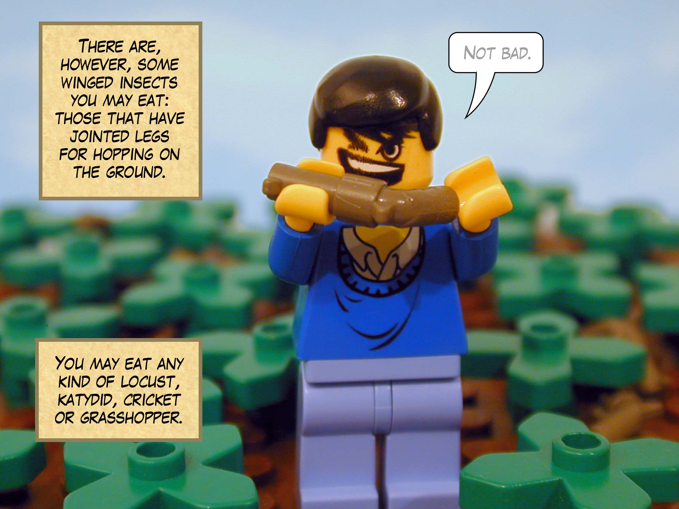 'There are, however, some winged insects you may eat: those that have jointed legs for hopping on the ground. You may eat any kind of locust, katydid, cricket or grasshopper.'