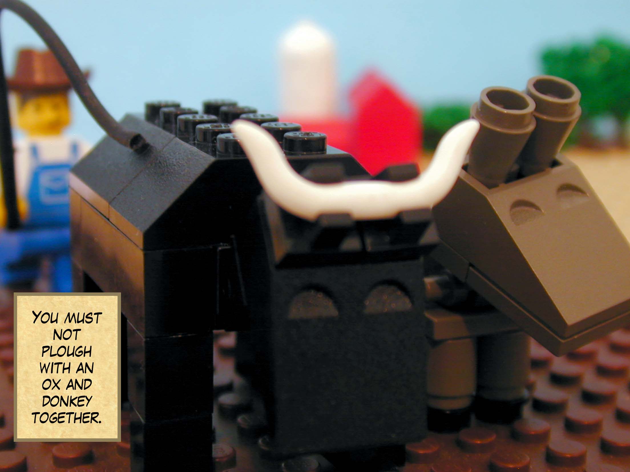 'You must not plough with ox and donkey together.'