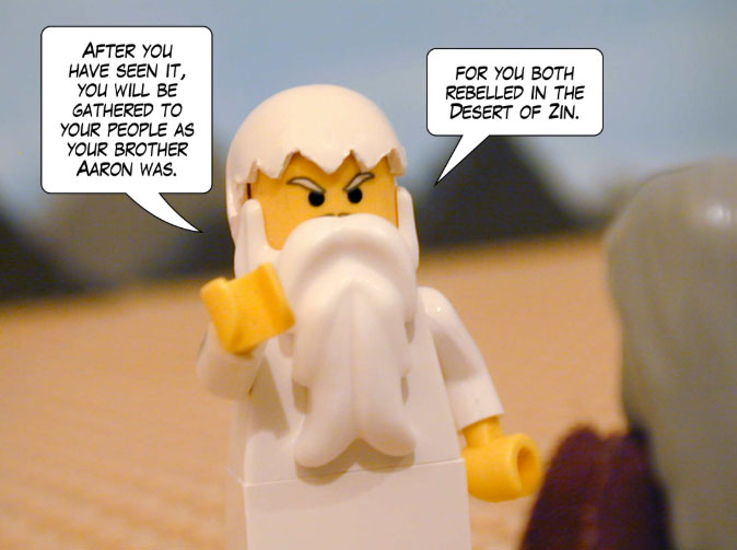 After you have seen it, you will be gathered to your people as your brother Aaron was. For you both rebelled in the Desert of Zin.