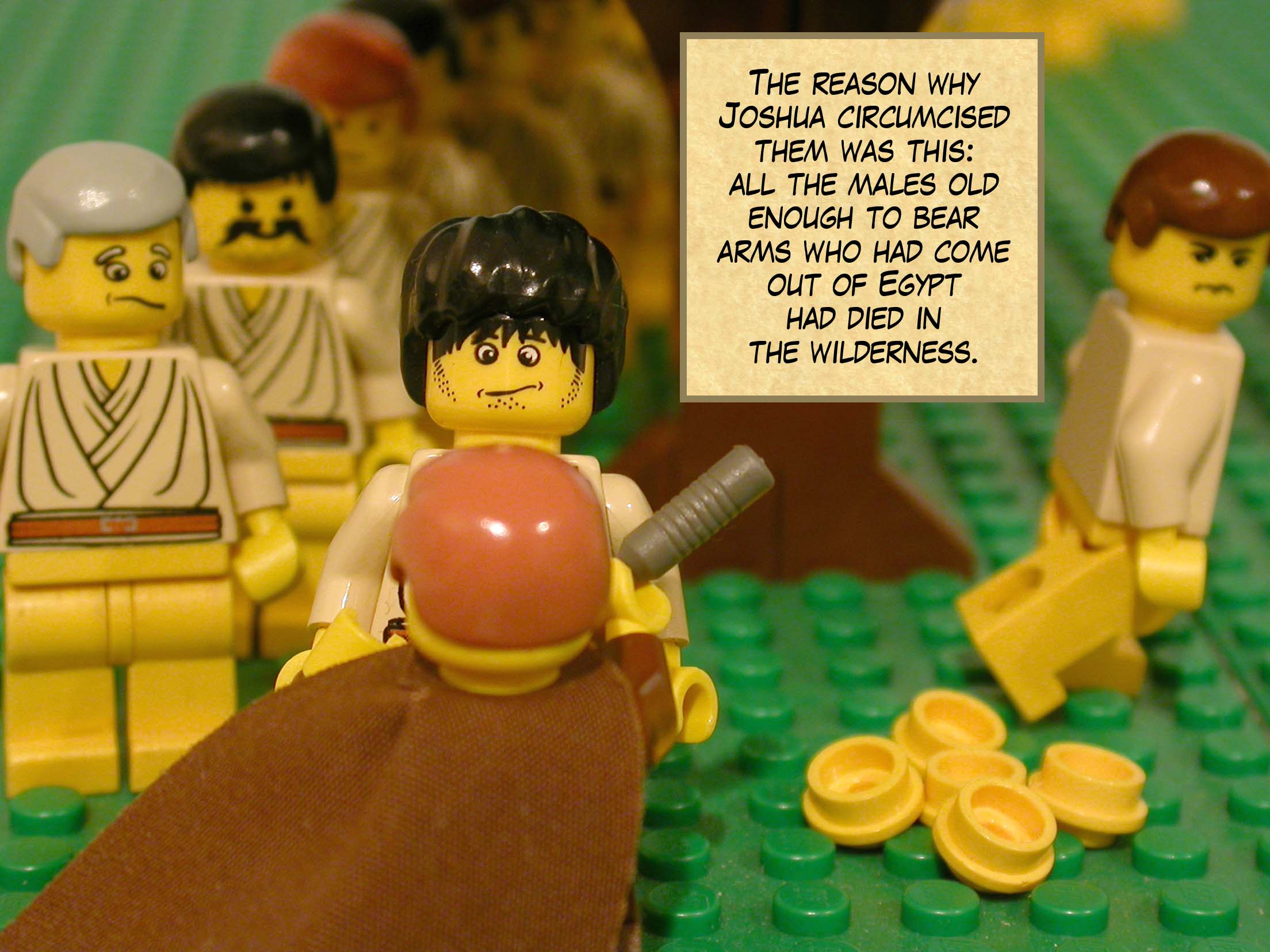 The reason why Joshua circumcised them was this: all the males old enough to bear arms who had come out of Egypt had died in the wilderness.