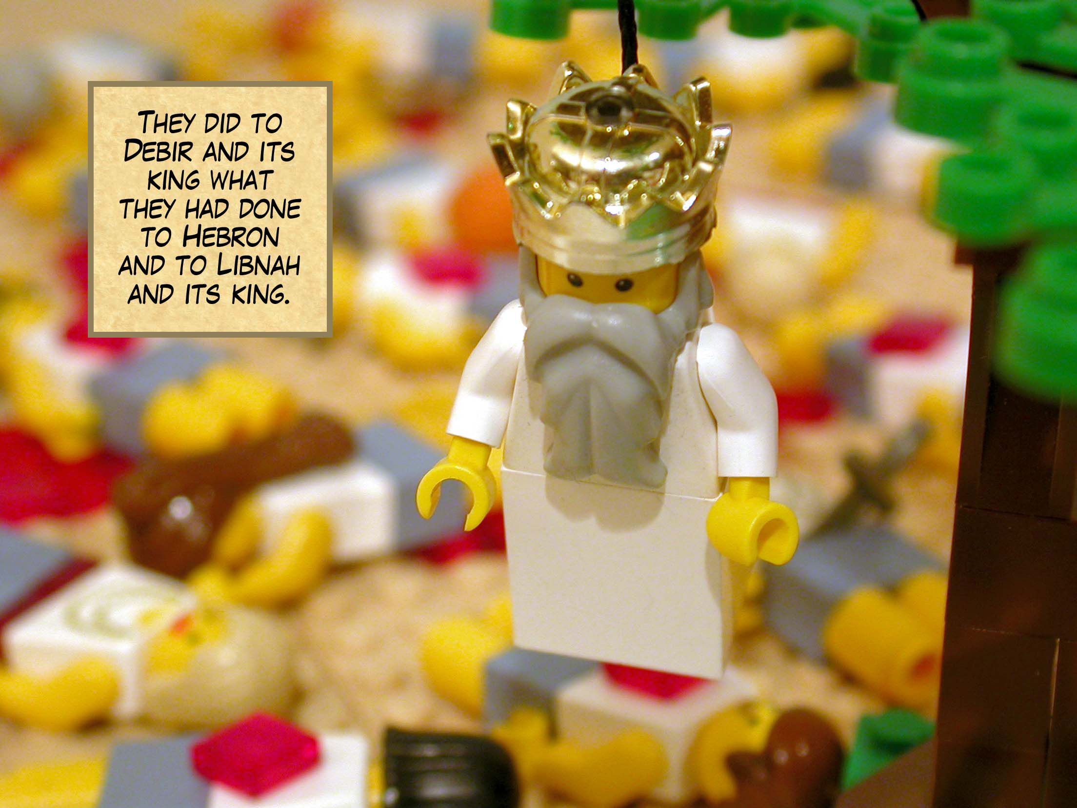 They did to Debir and its king what they had done to Hebron and to Libnah and its king.