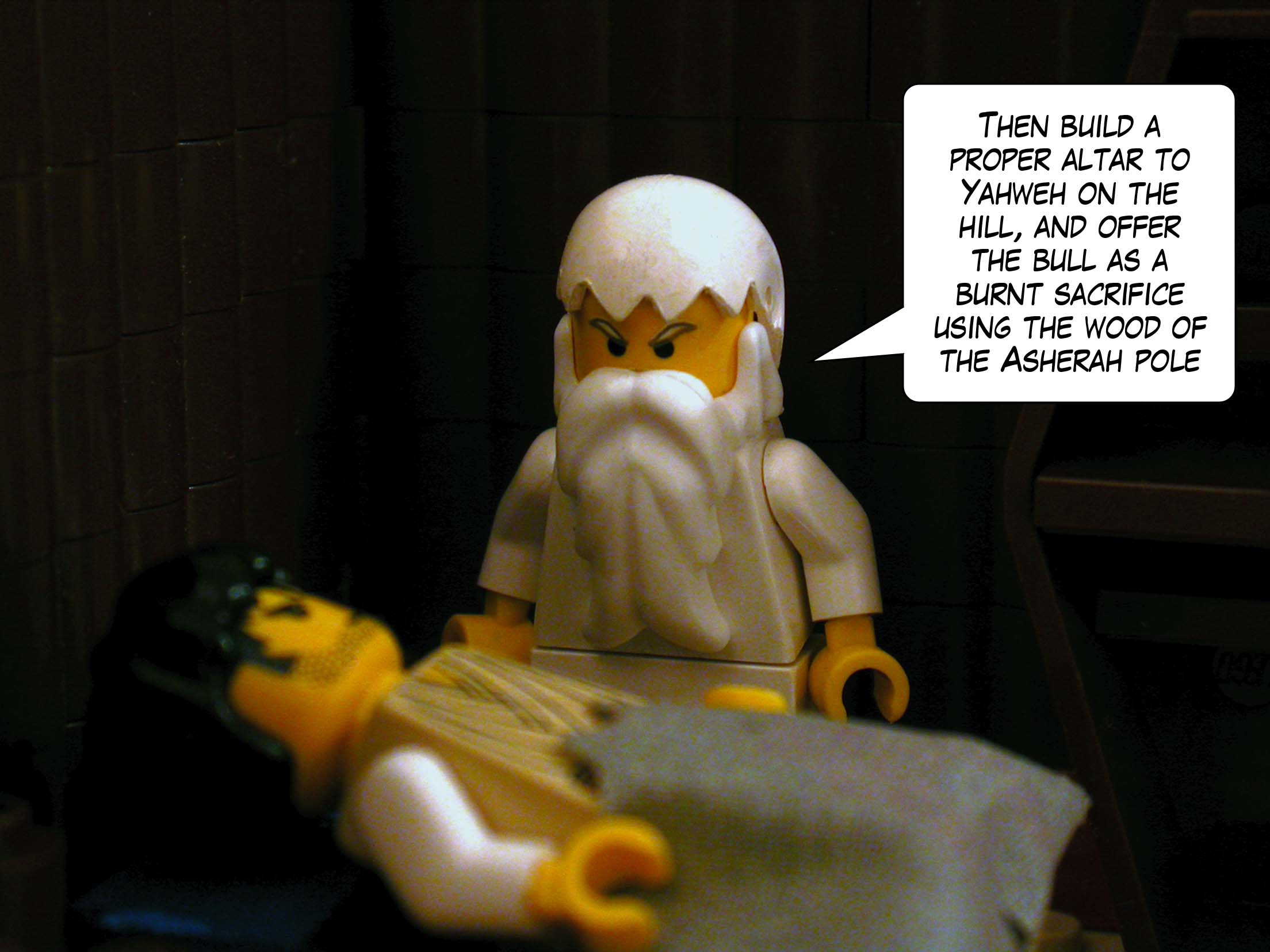 'Then build a proper altar to Yahweh on the hill, and offer the bull as a burnt sacrifice using the wood of the Asherah pole.'