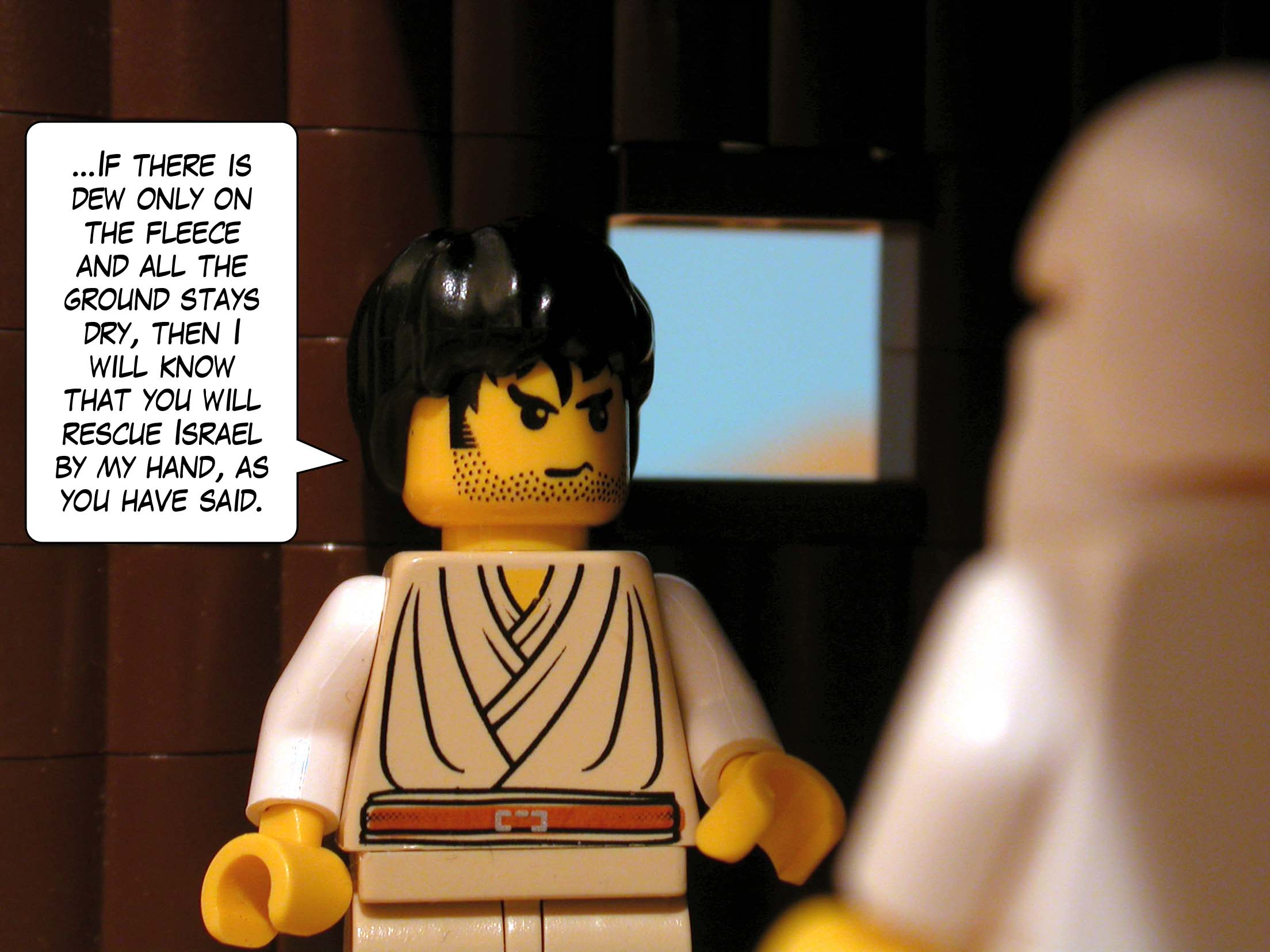 'If there is dew only on the fleece and all the ground stays dry, then I will know that you will rescue Israel by my hand, as you have said.'