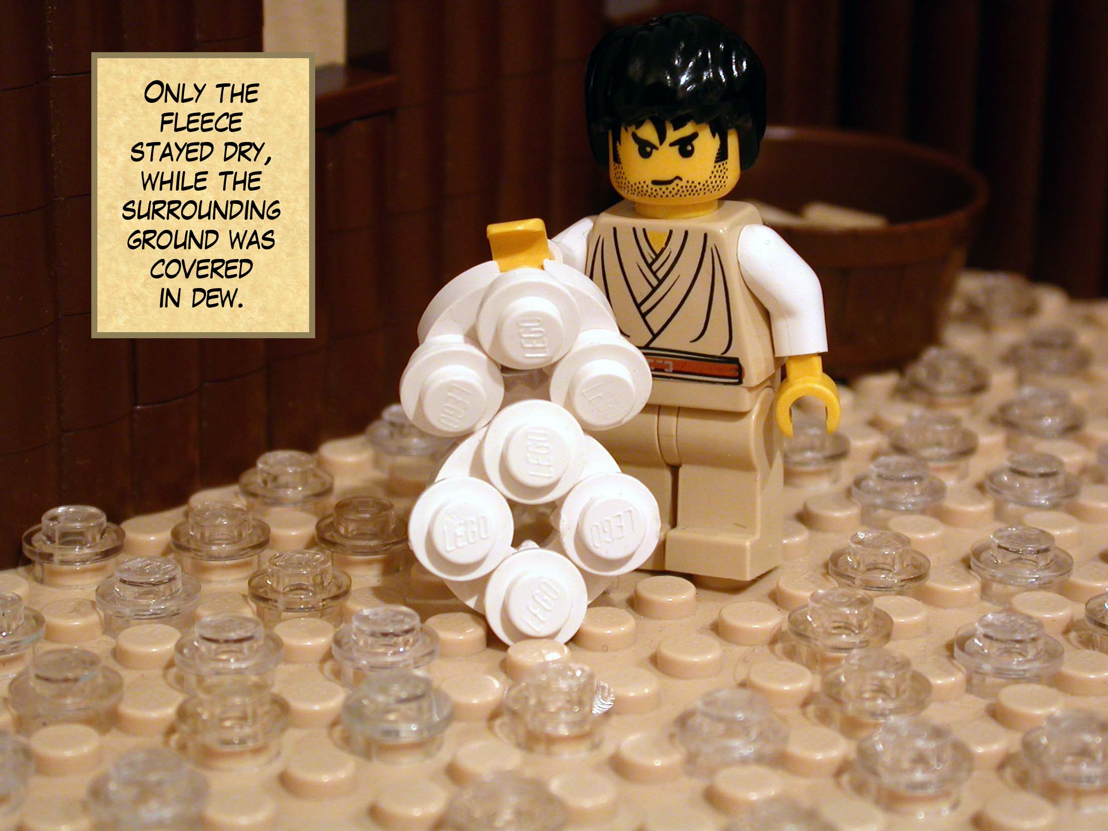 Only the fleece stayed dry, while the surrounding ground was covered in dew.