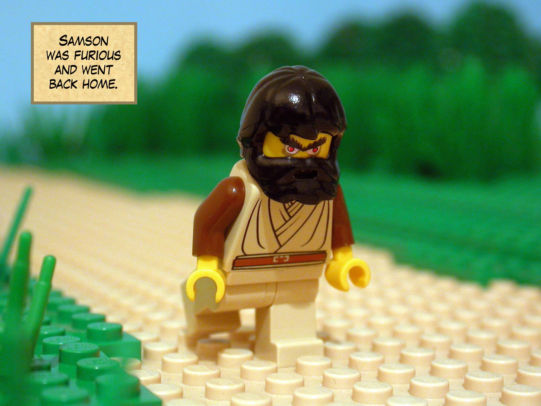 Samson was furious and went back home.