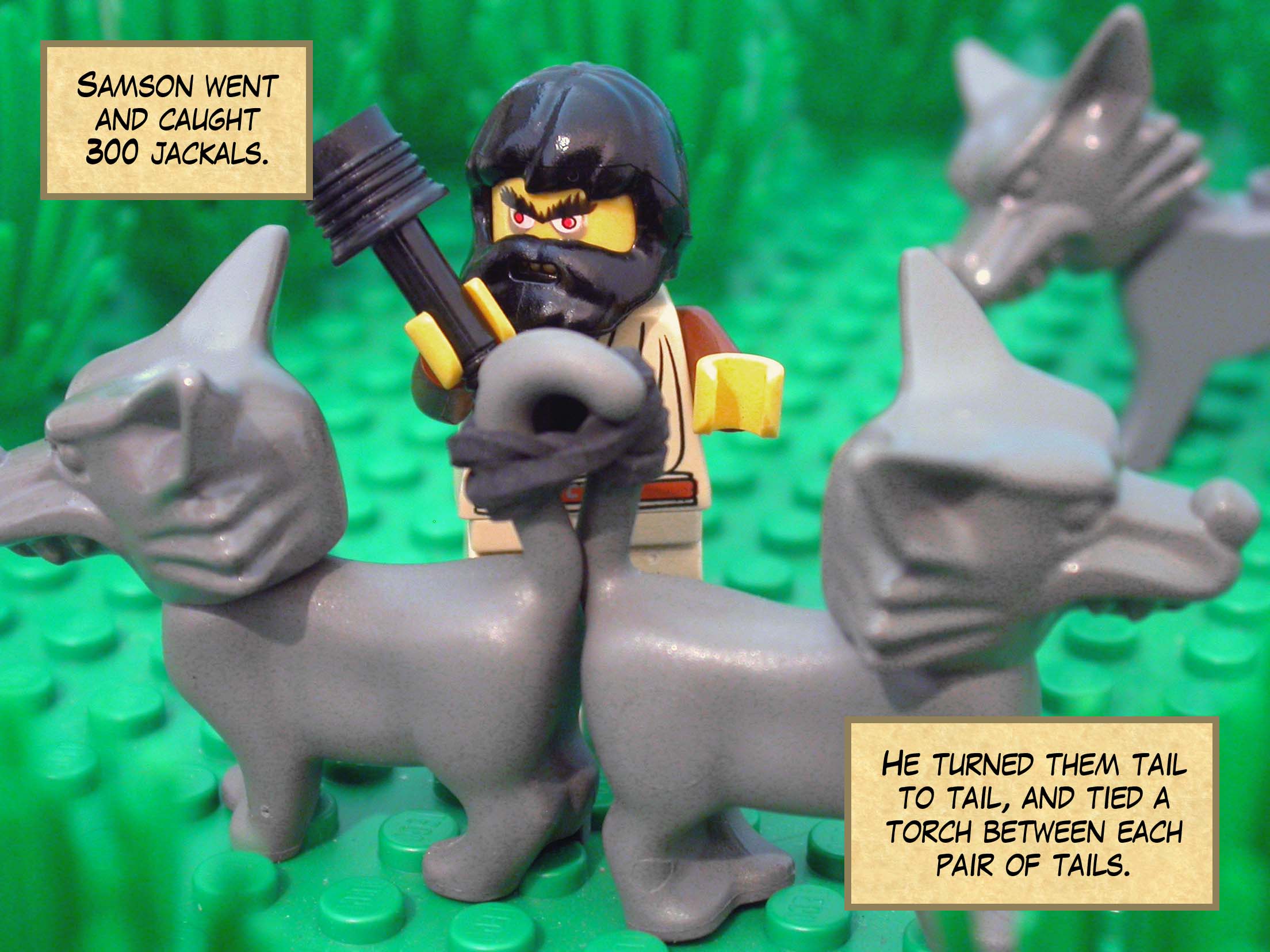 Samson went and caught three hundred jackals, turned them tail to tail, and tied a torch between each pair of tails.